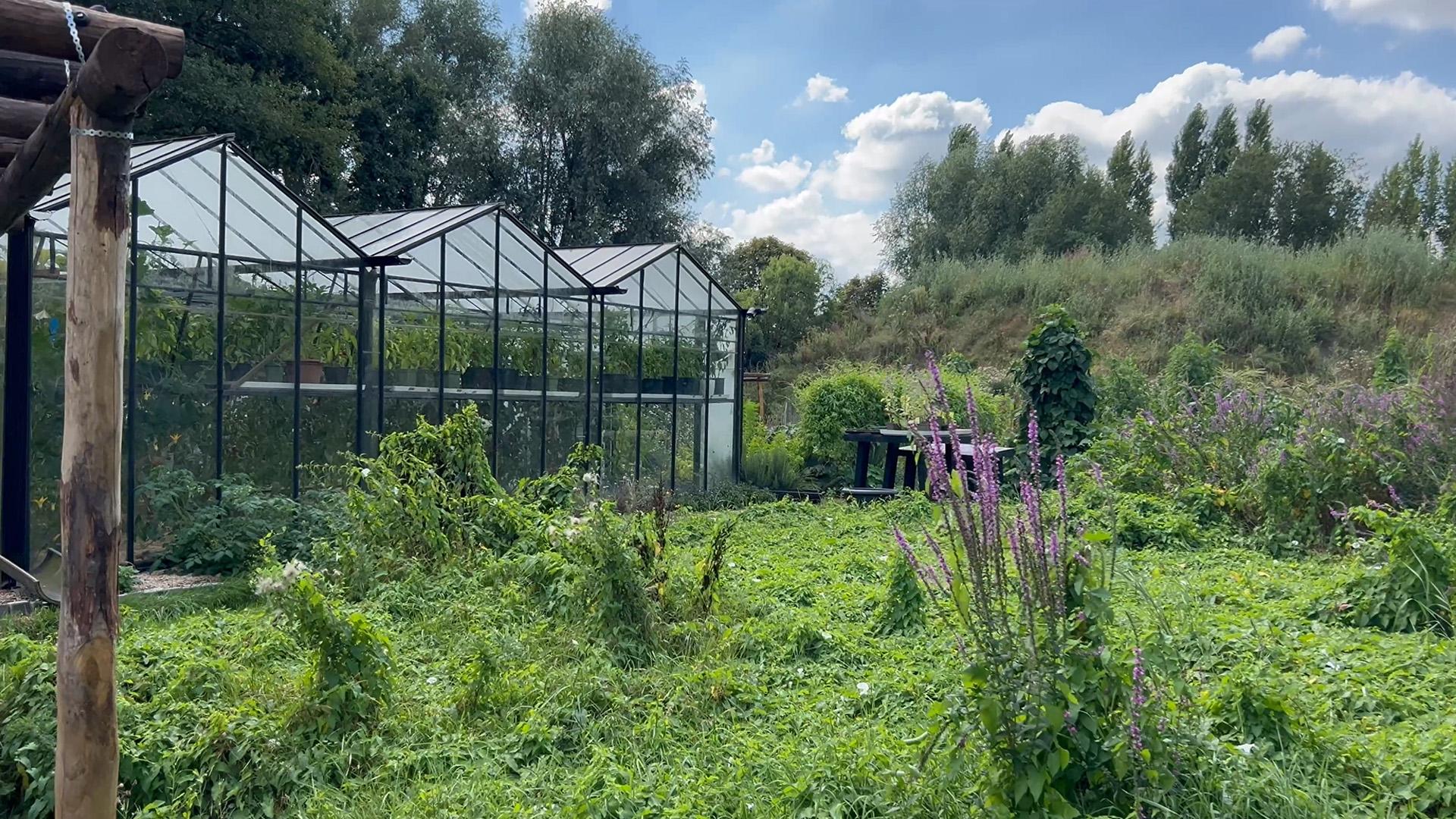 The Greenhouse