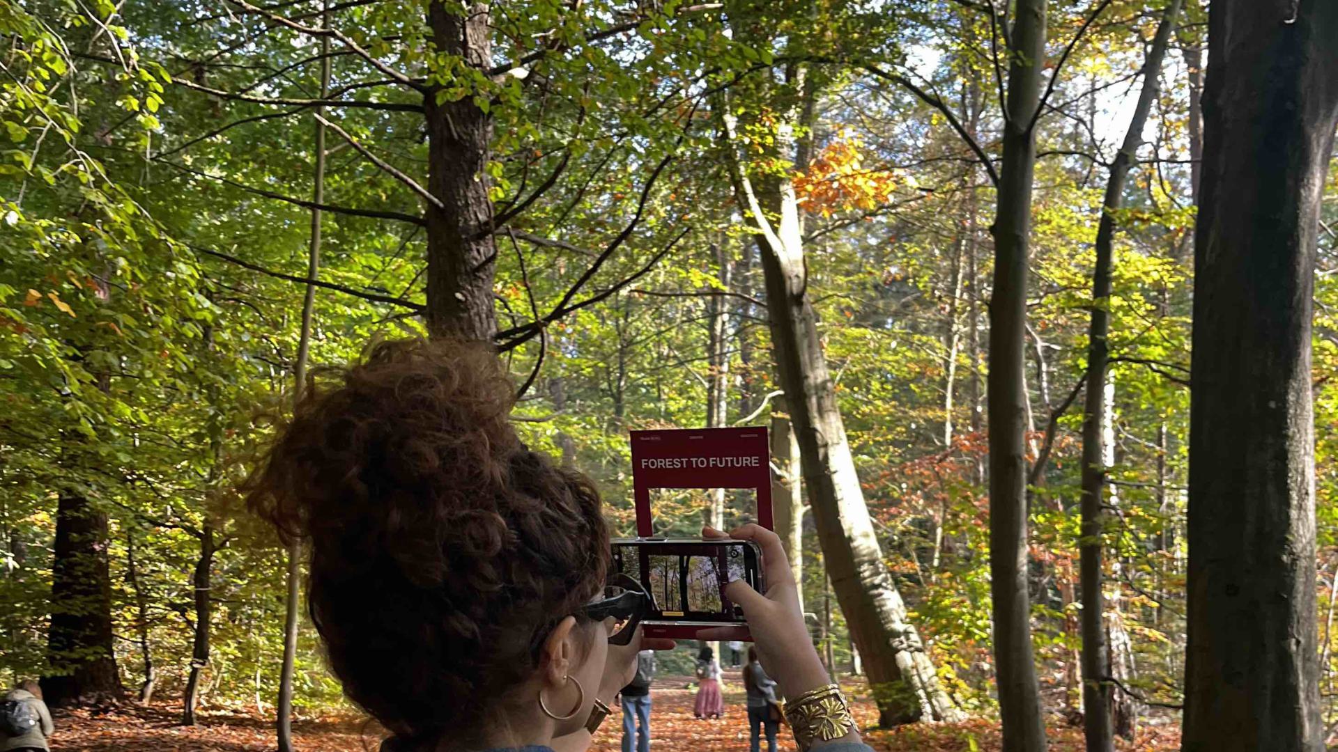 Forest Design Workshop Prototyping