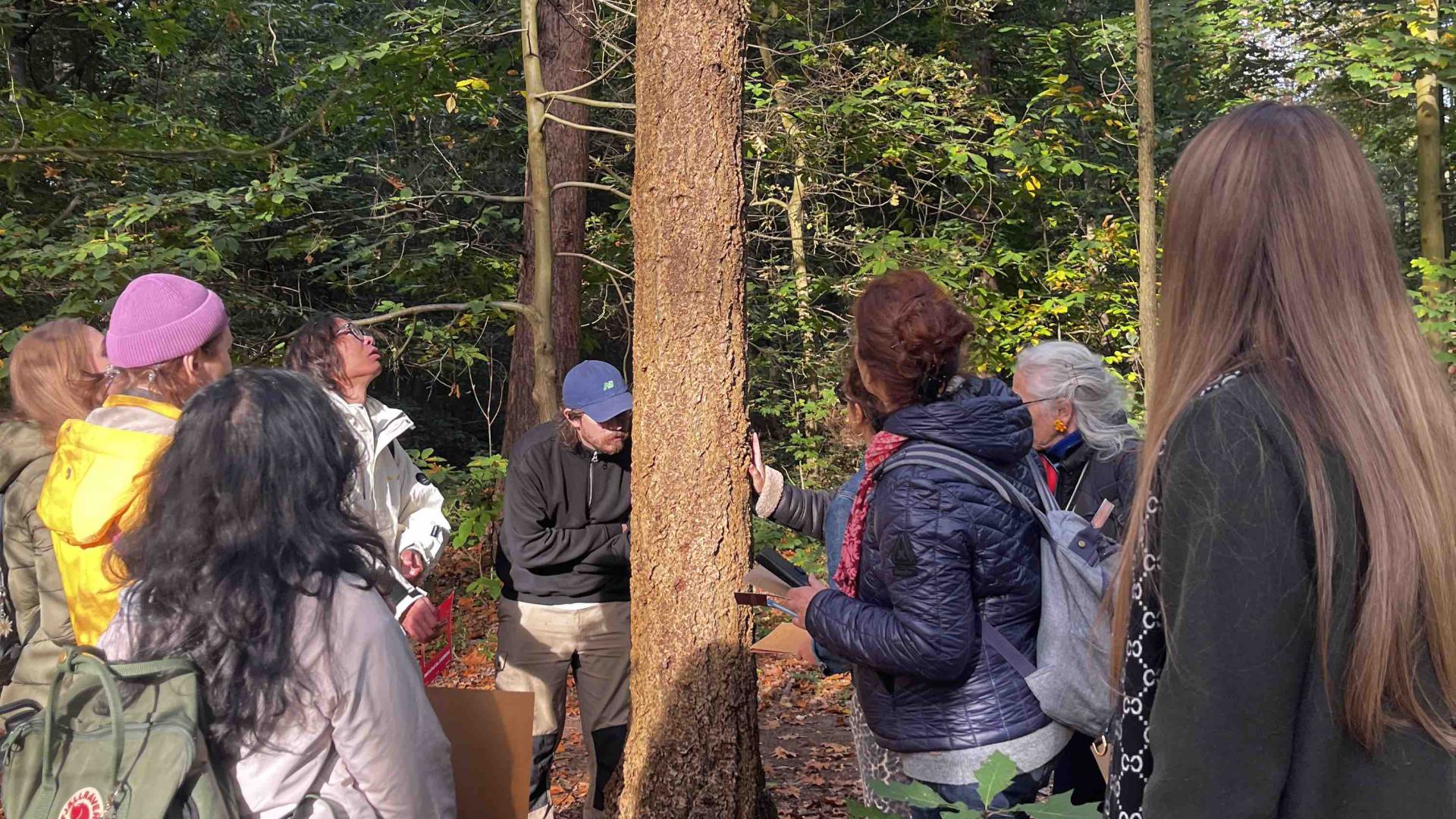 PrototypingDetails Forest Design Workshop