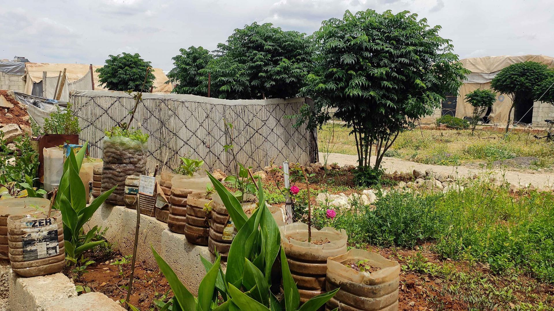 Zoghara Refugee Camp in Syria: Growing Food