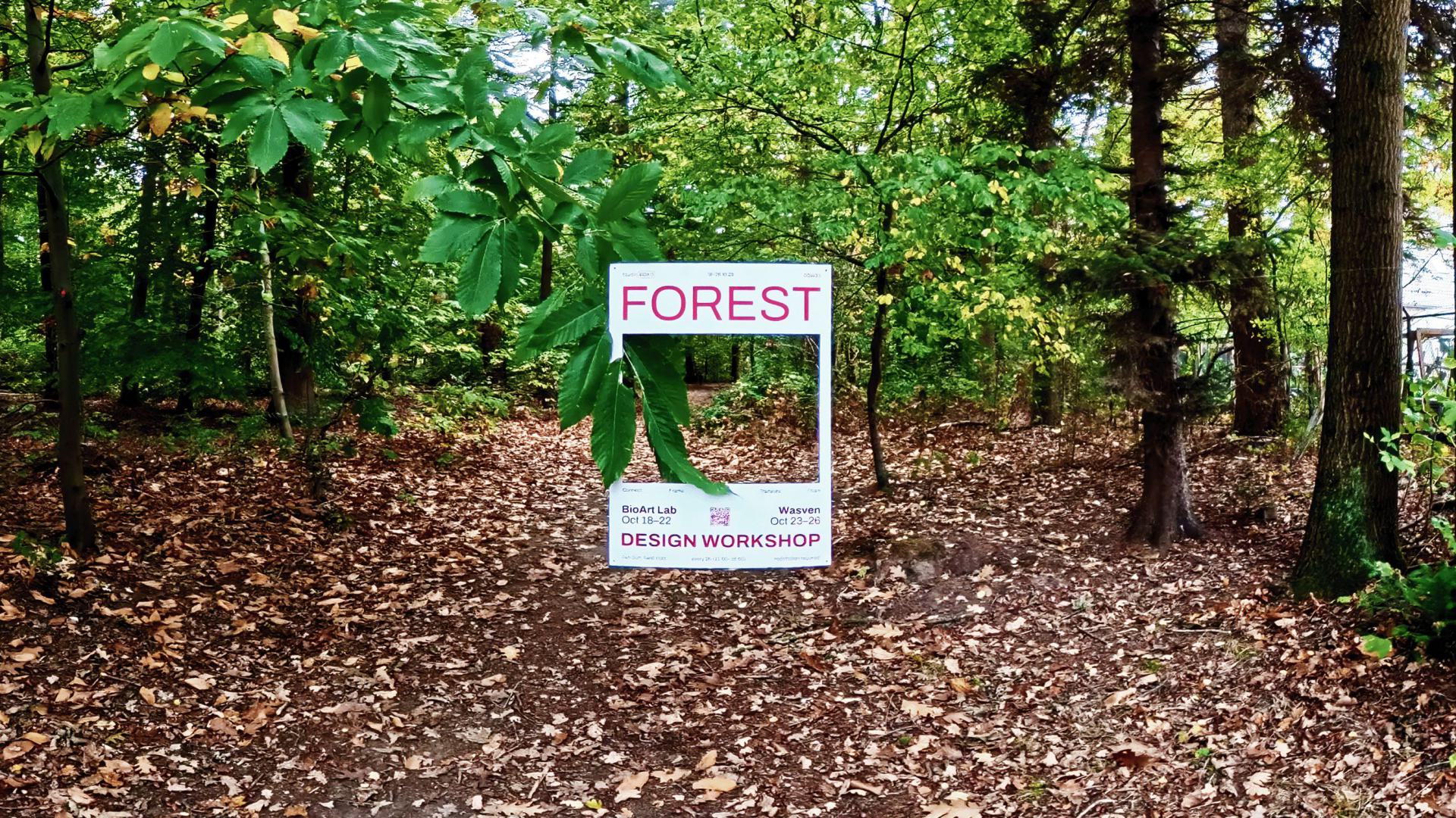 Forest Design Workshop