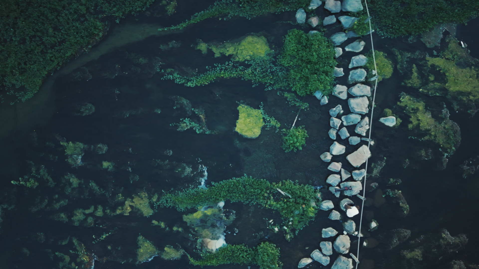 Still from documentary