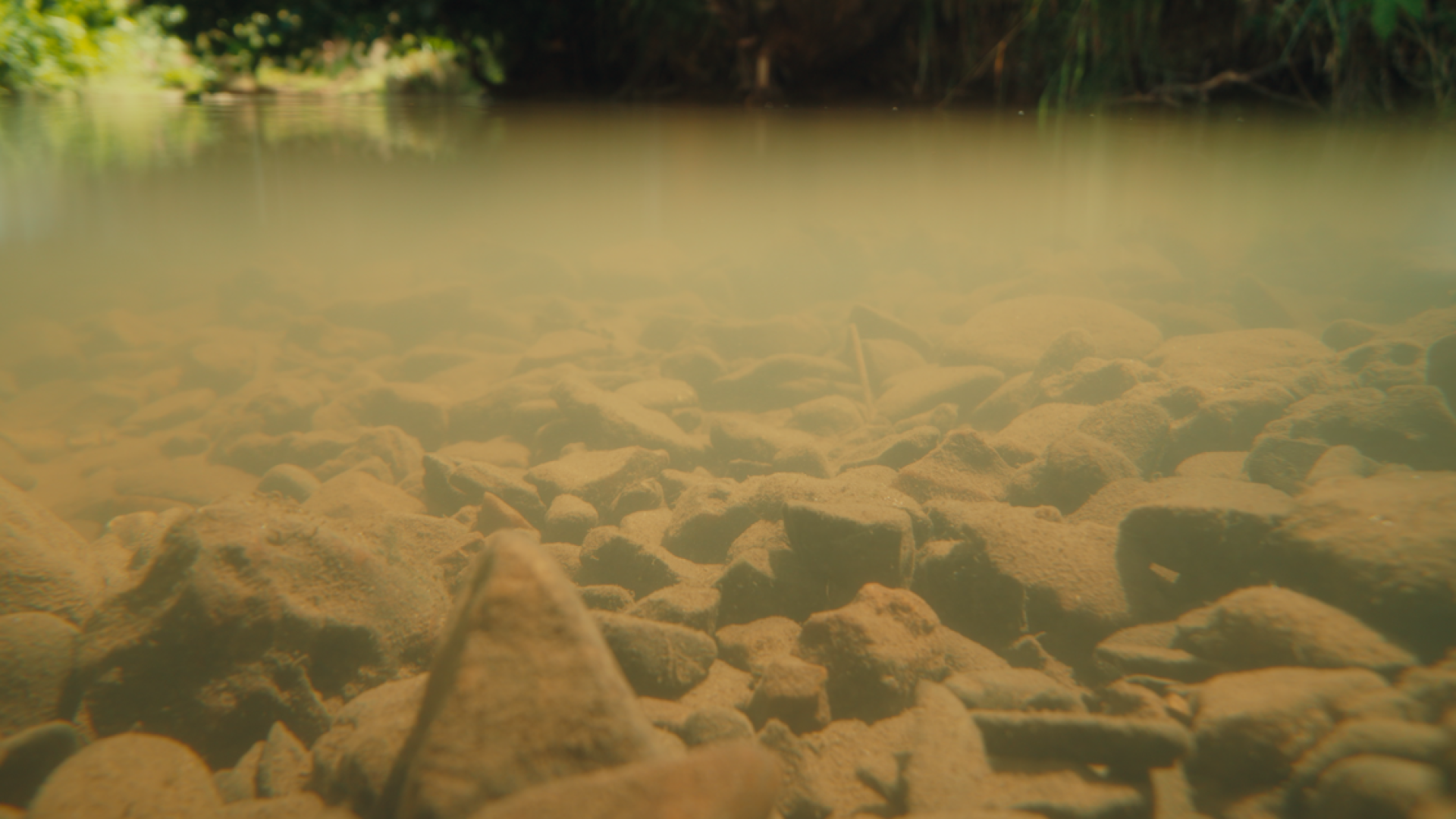 Still from documentary