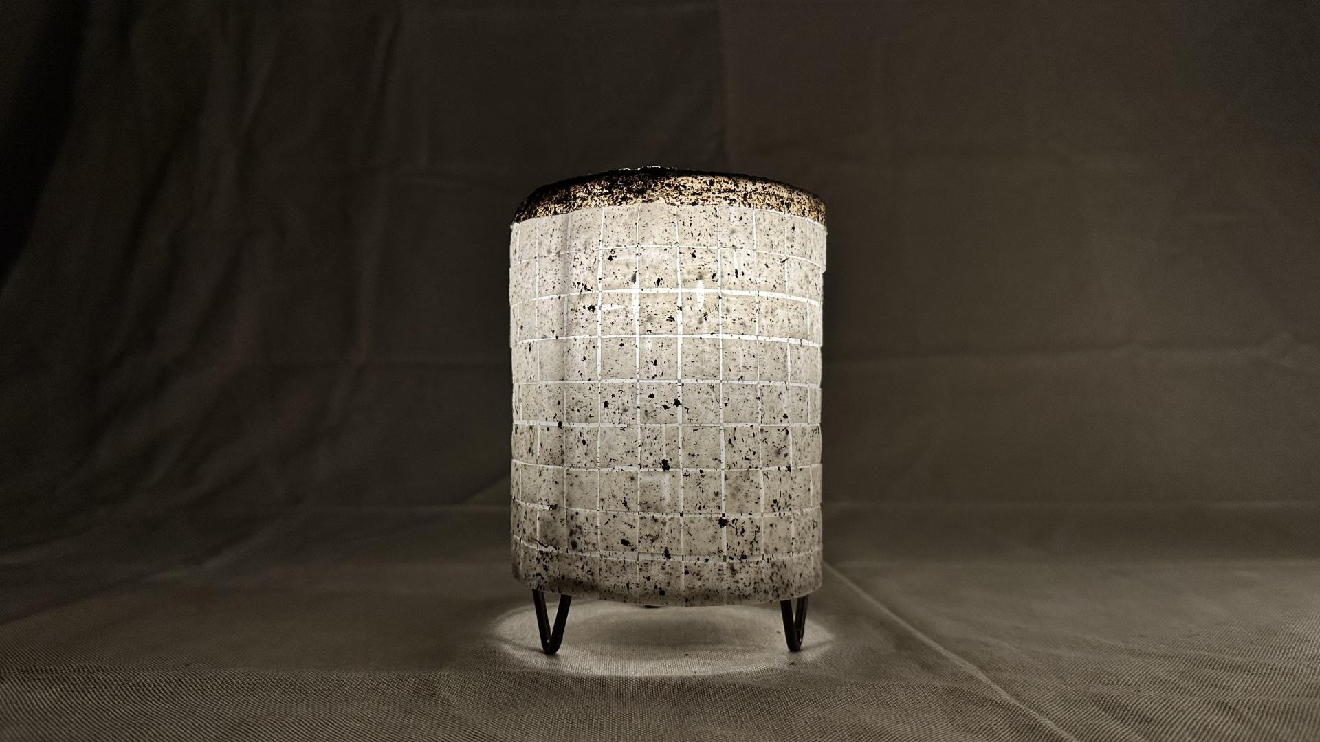 Illuminated Overgrowth - duckweed lamps