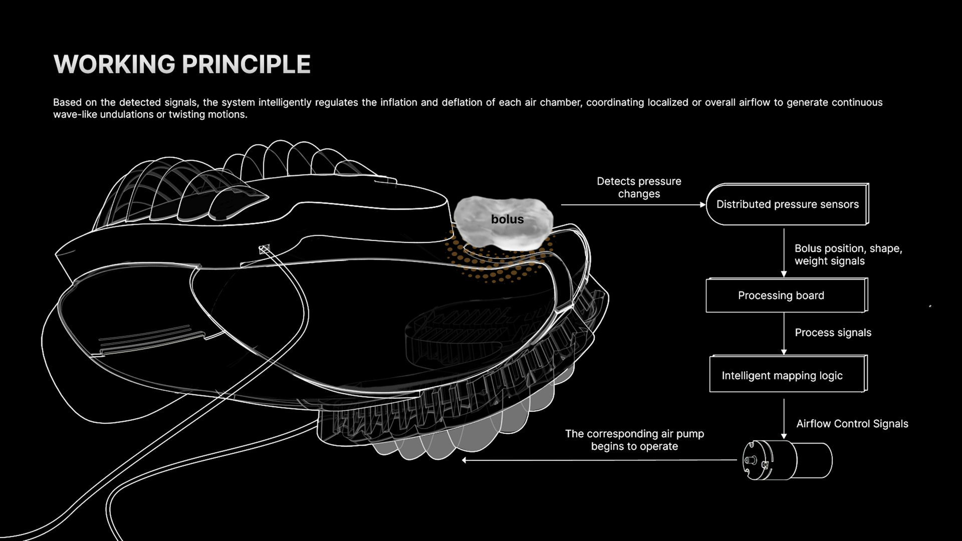 Working Principle of Food, Airbags, and Air Pumps