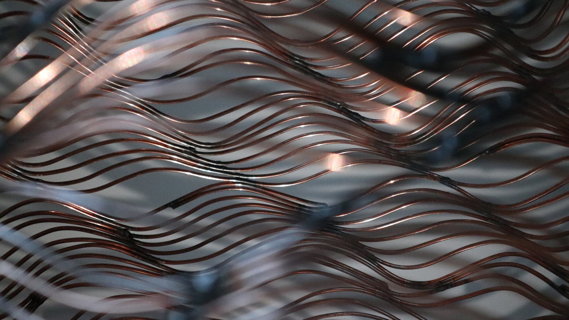 WAVE