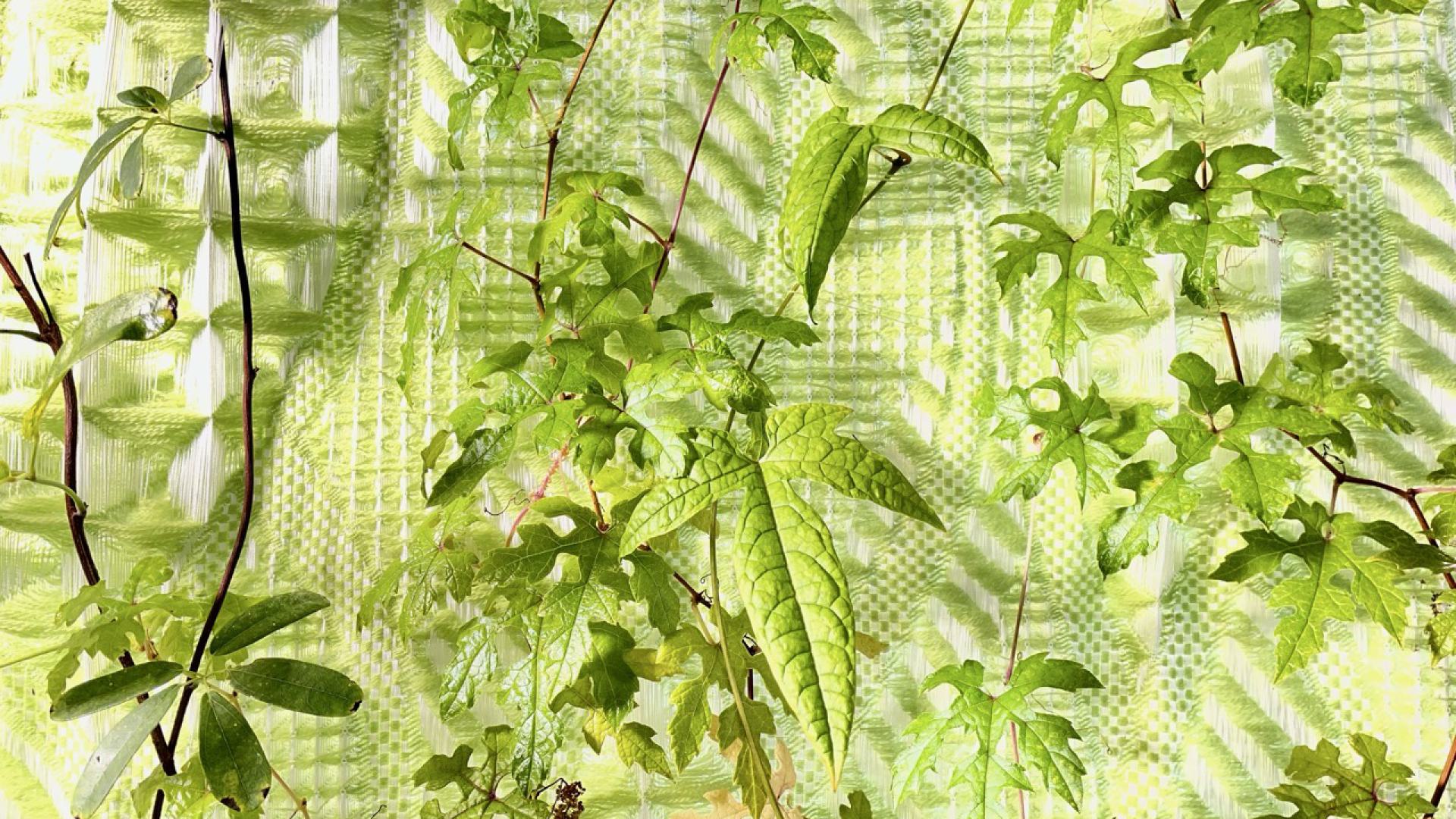 Close up of the living hybrid space dividers