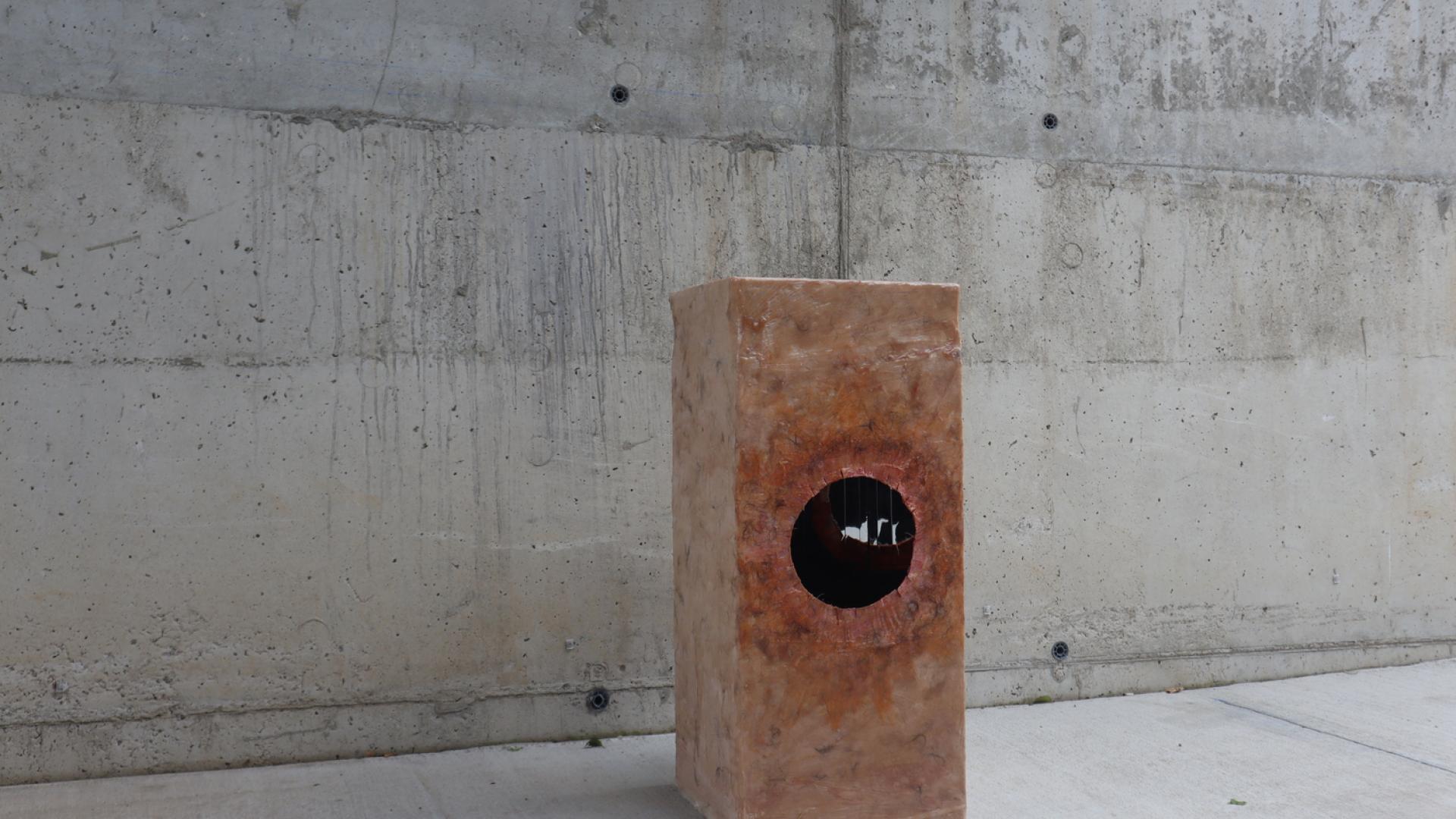 Decolonoscopy Installation Piece