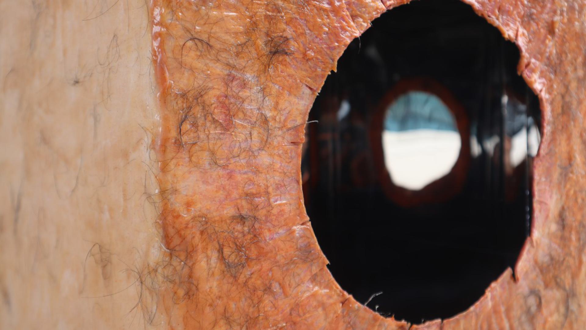 Decolonoscopy Installation Piece
