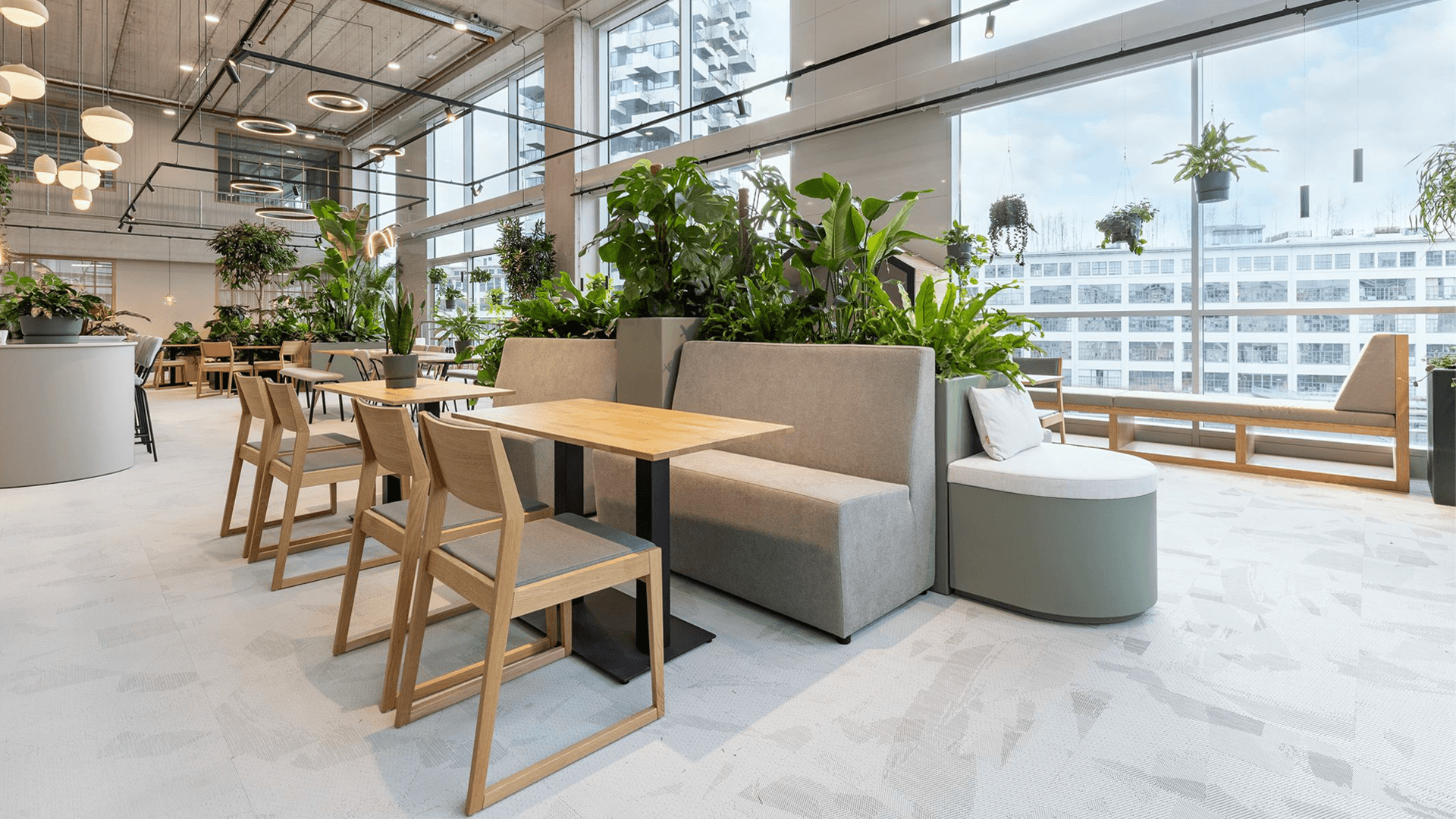 Oase in Donna Eindhoven