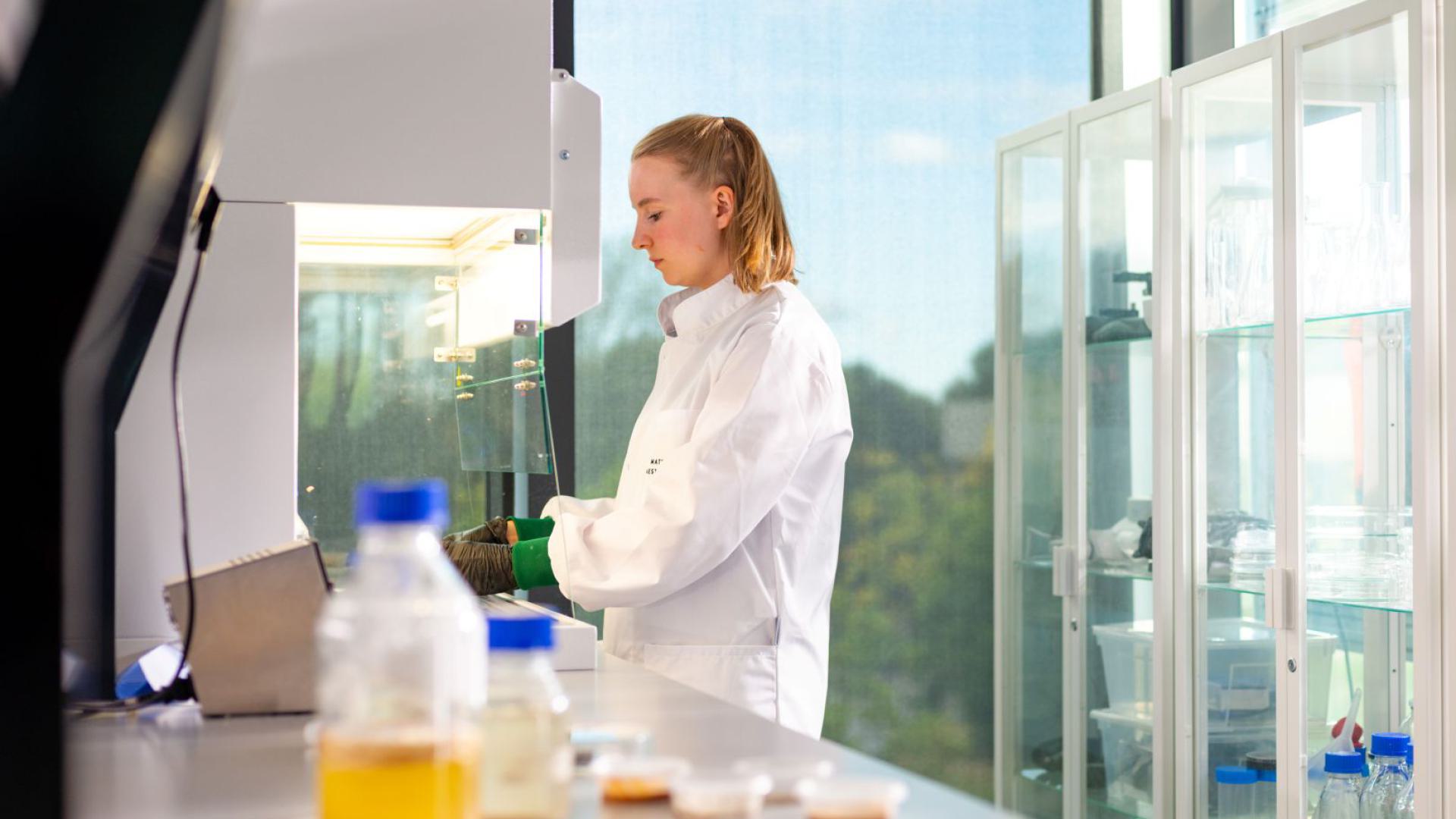 Lab experiments in Bio Lab