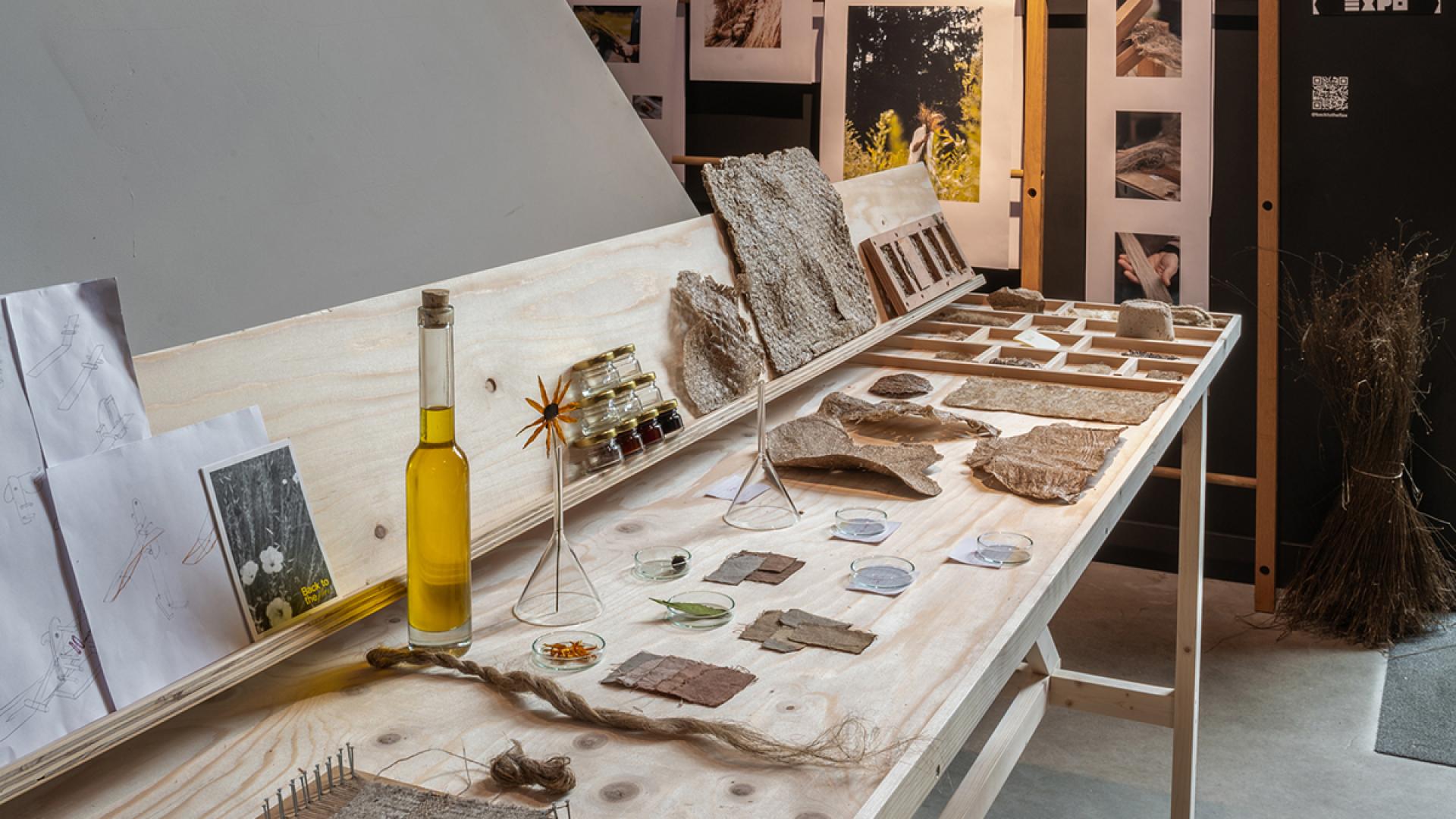 Back To The Flax Exhibition @ Kazerne 2024