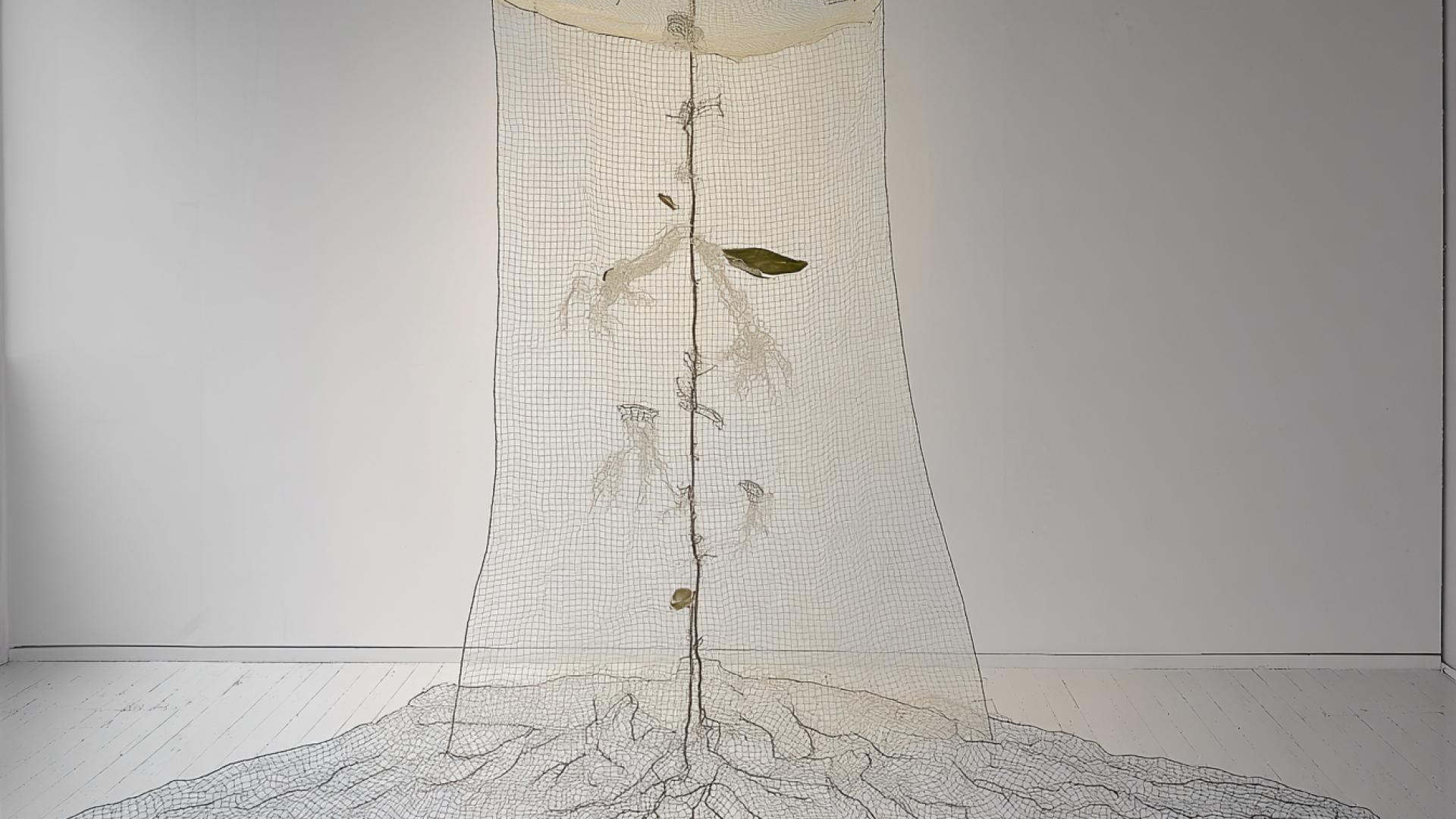 The Coca Leaf Entanglement