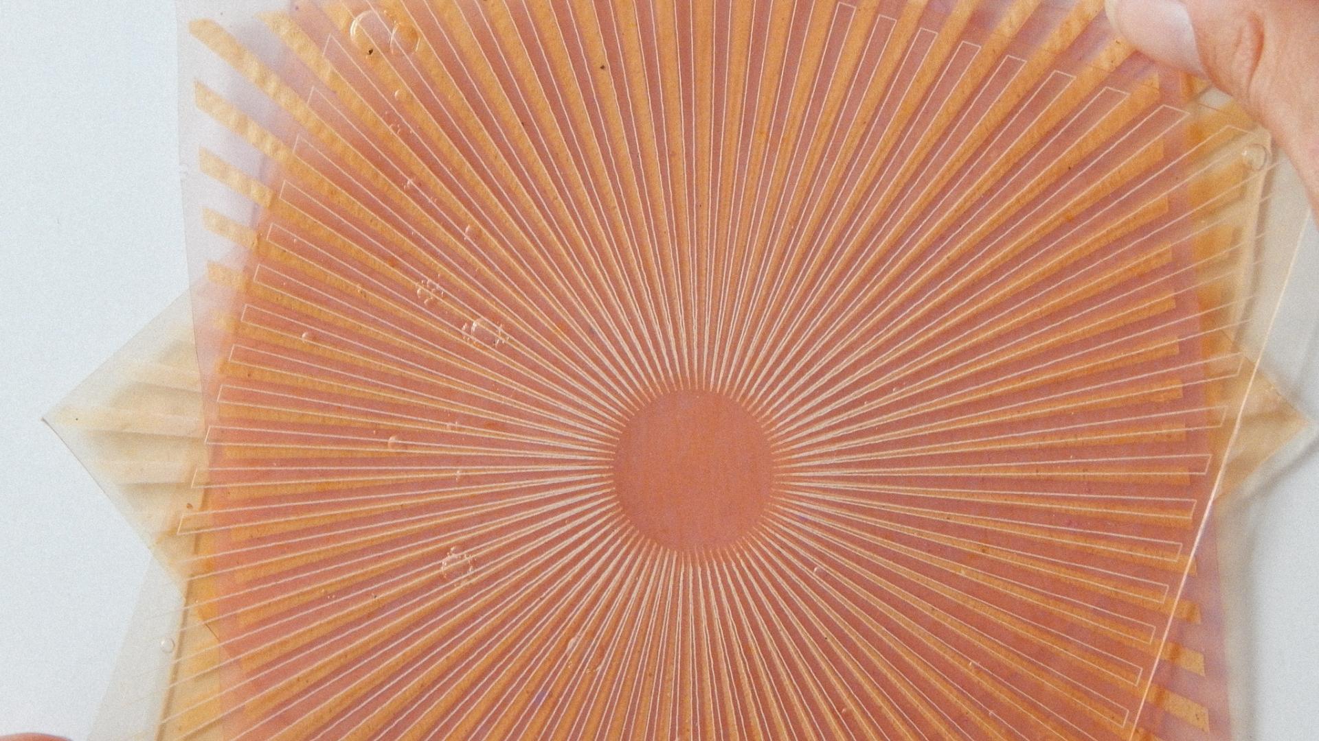 Moire by Materia Futura