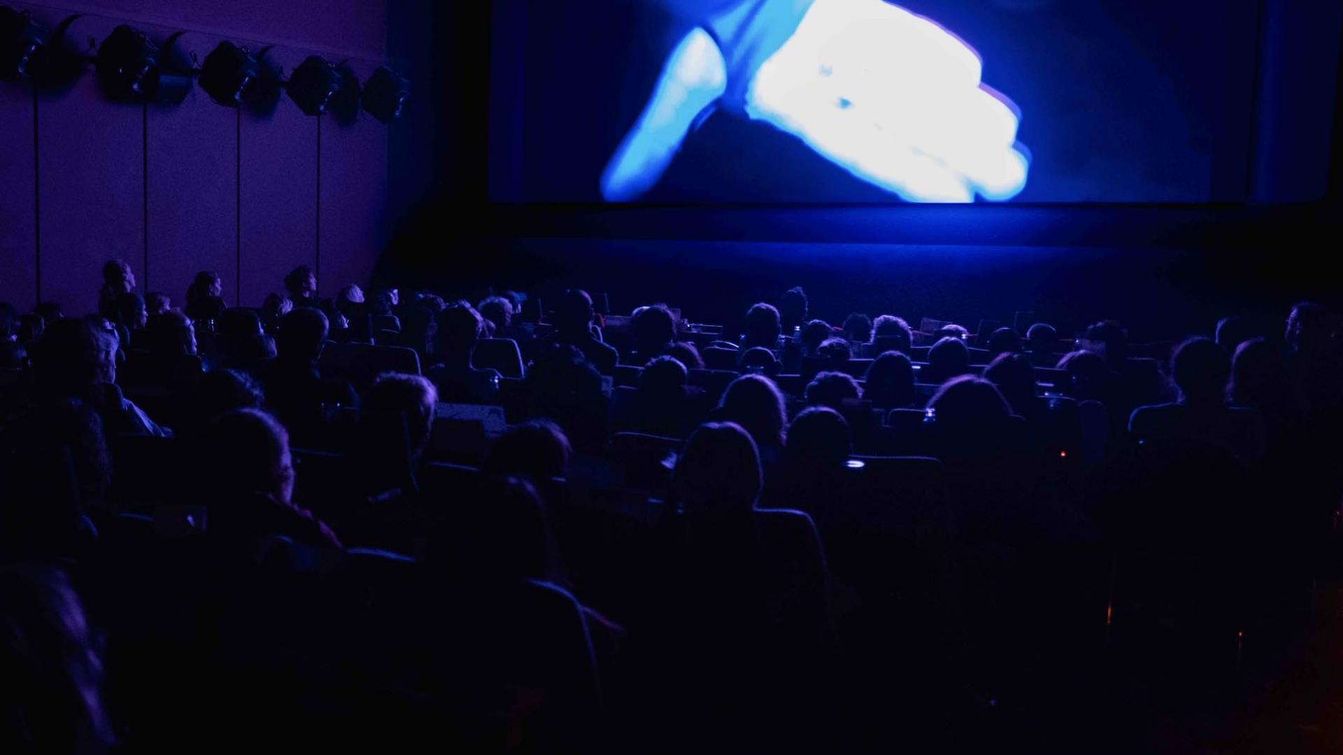 Melted Film Festival