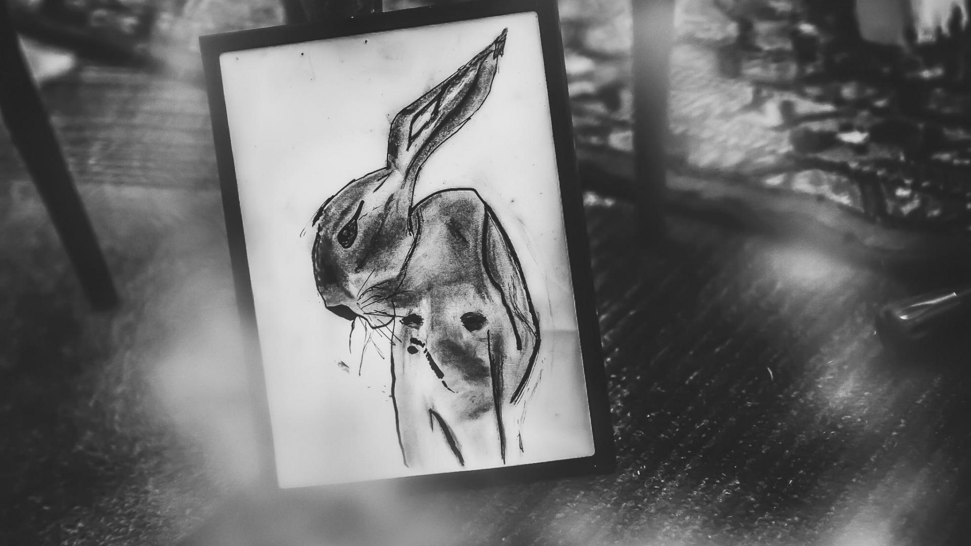 A Hare drawing