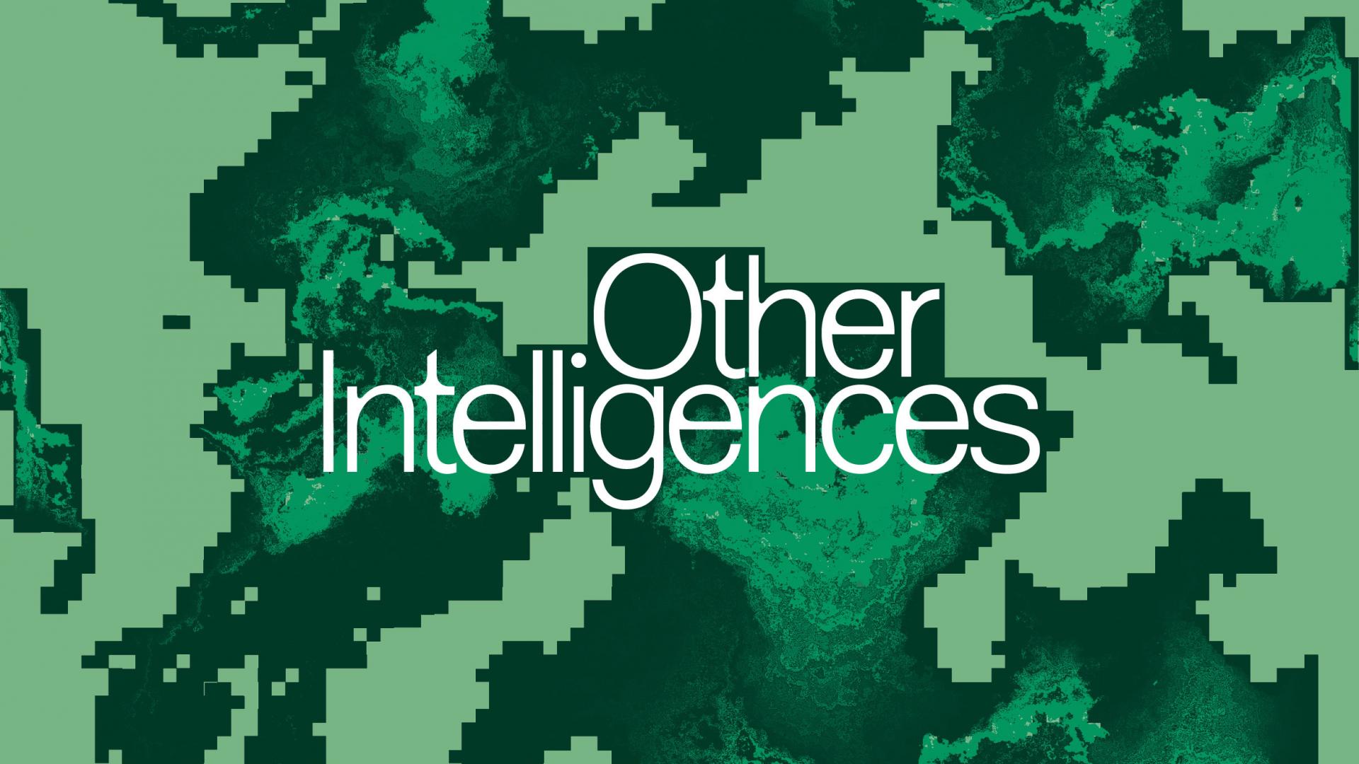 Other Intelligences