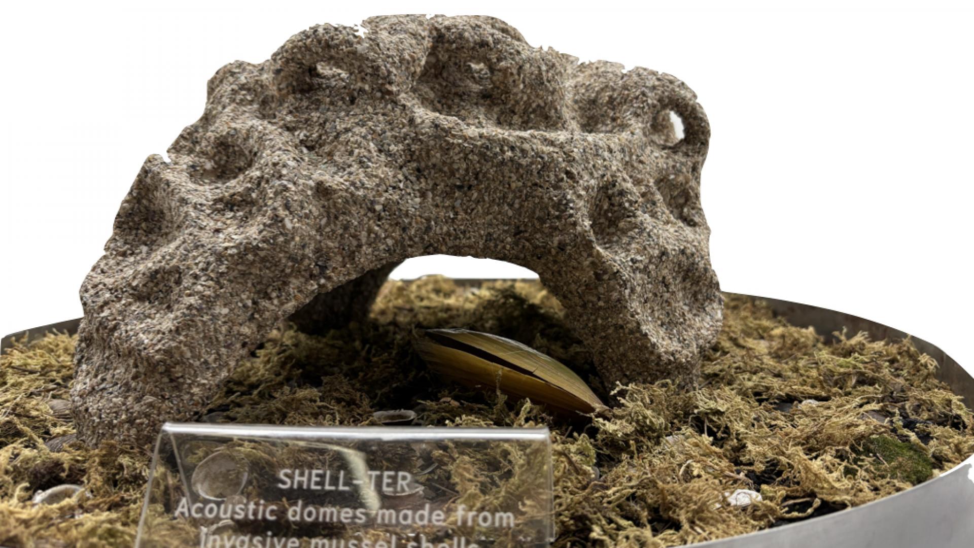 Shell-ter with invasive mussel shells