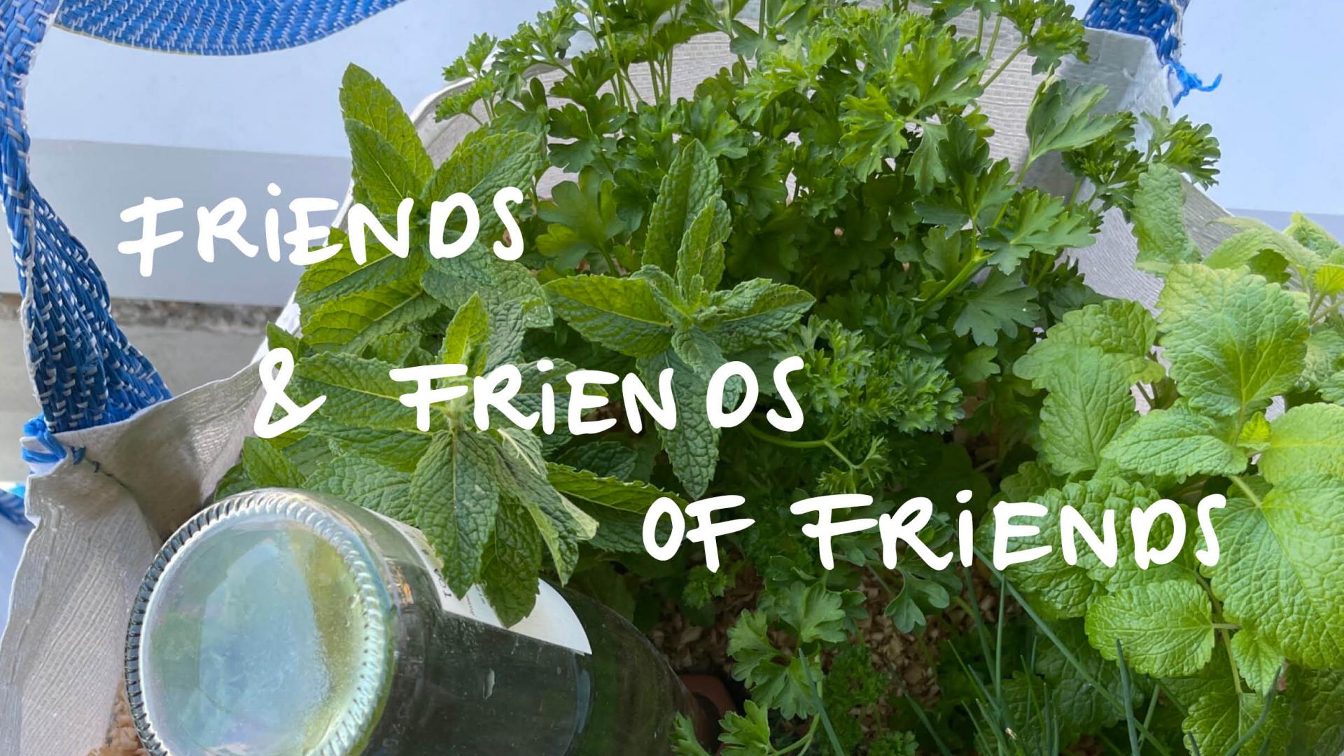 Friends & Friends of Friends - Kraftmann