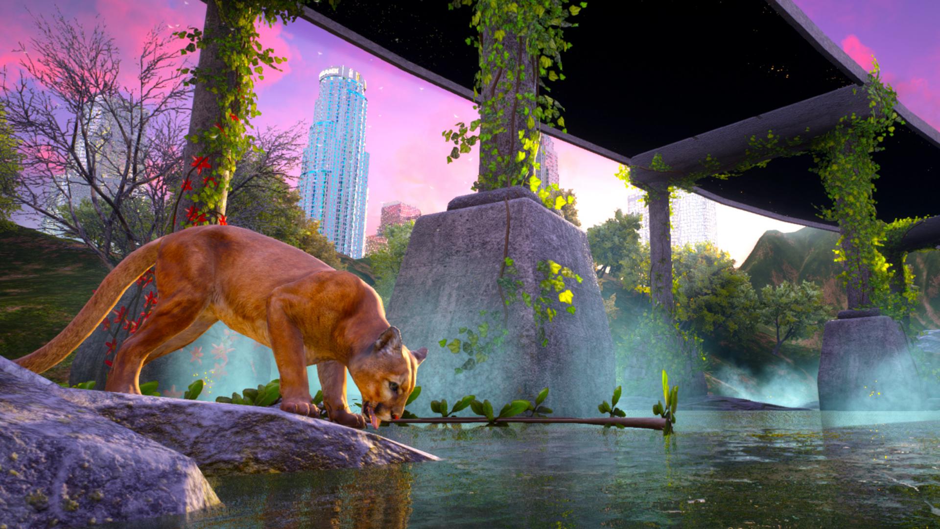 Still from The Alluvials by Alice Bucknell