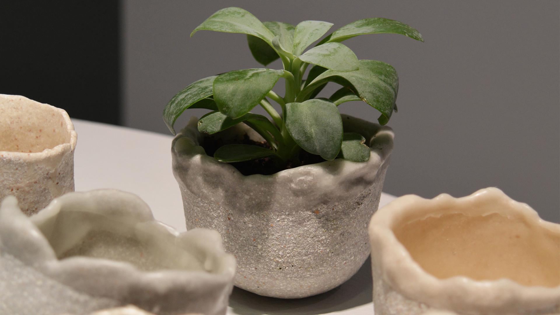 Eggshell Re-Planters