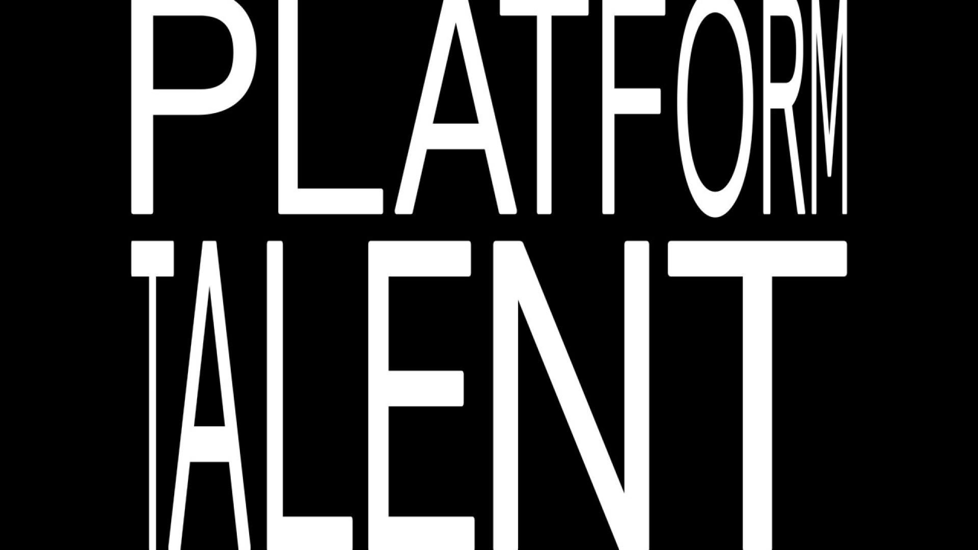 Stimuleringsfonds presents talent