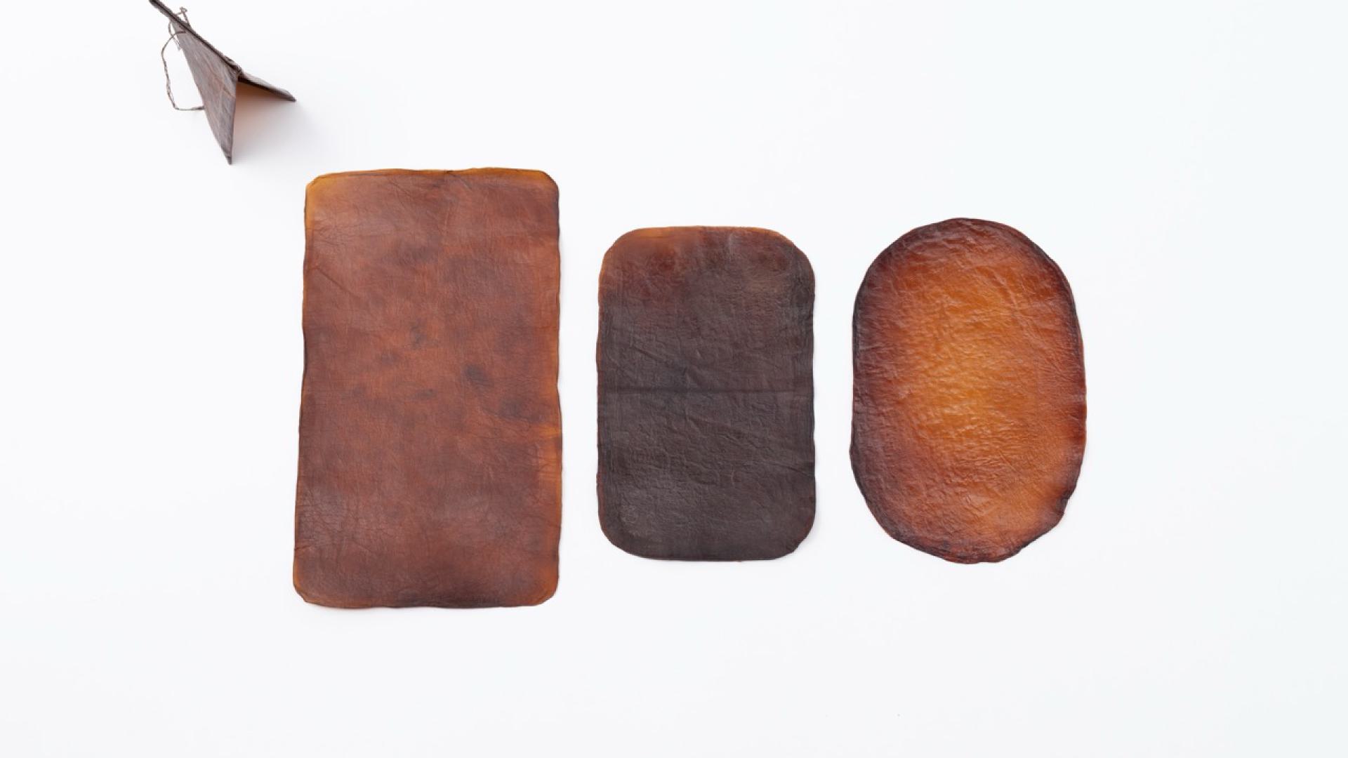 Pomegranate-dyed kombucha bio-leather