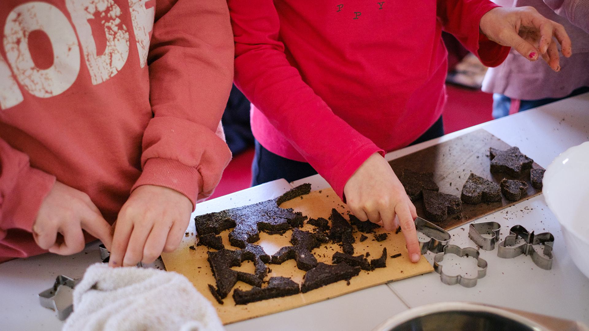 Making little bio-waste cookies