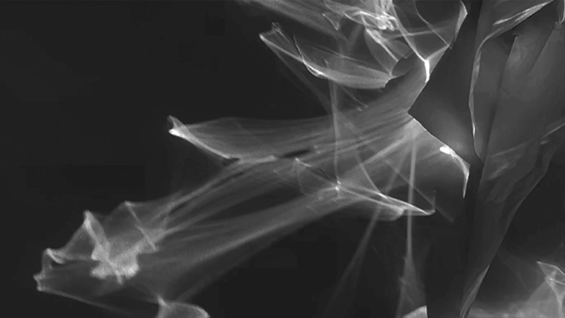 Artwork of Light Reflection
