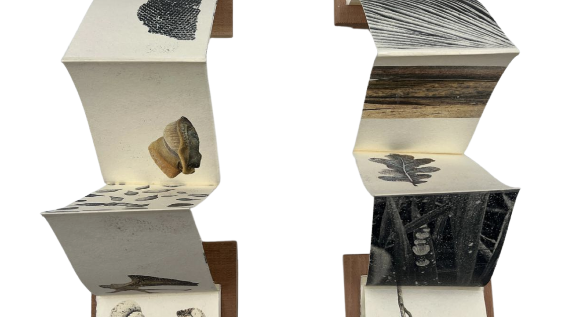 Project Rethinking Textures