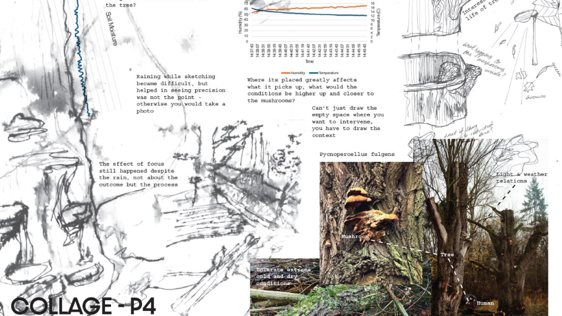 Collage of user study participant 4