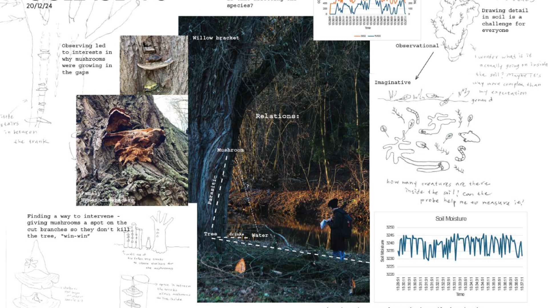 Collage of user study participant 6