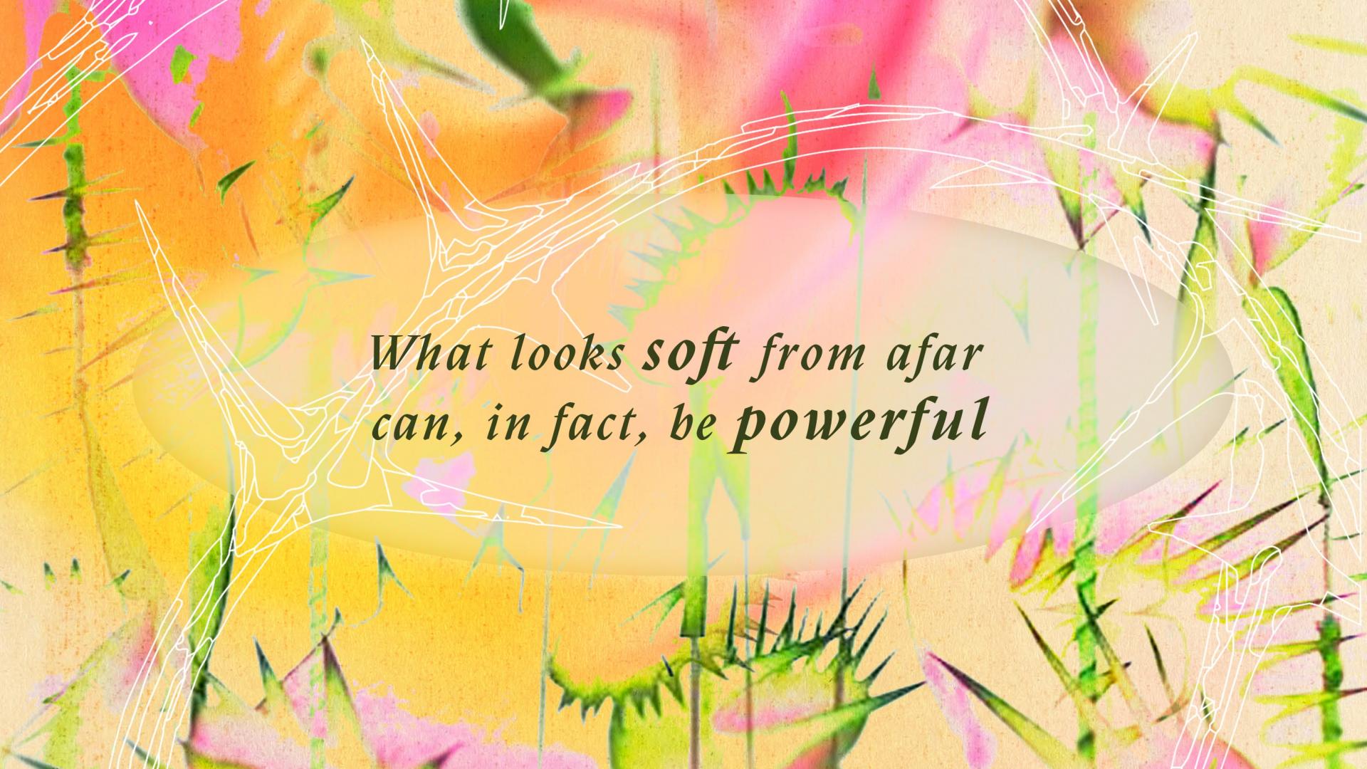 Soft Shields Tagline