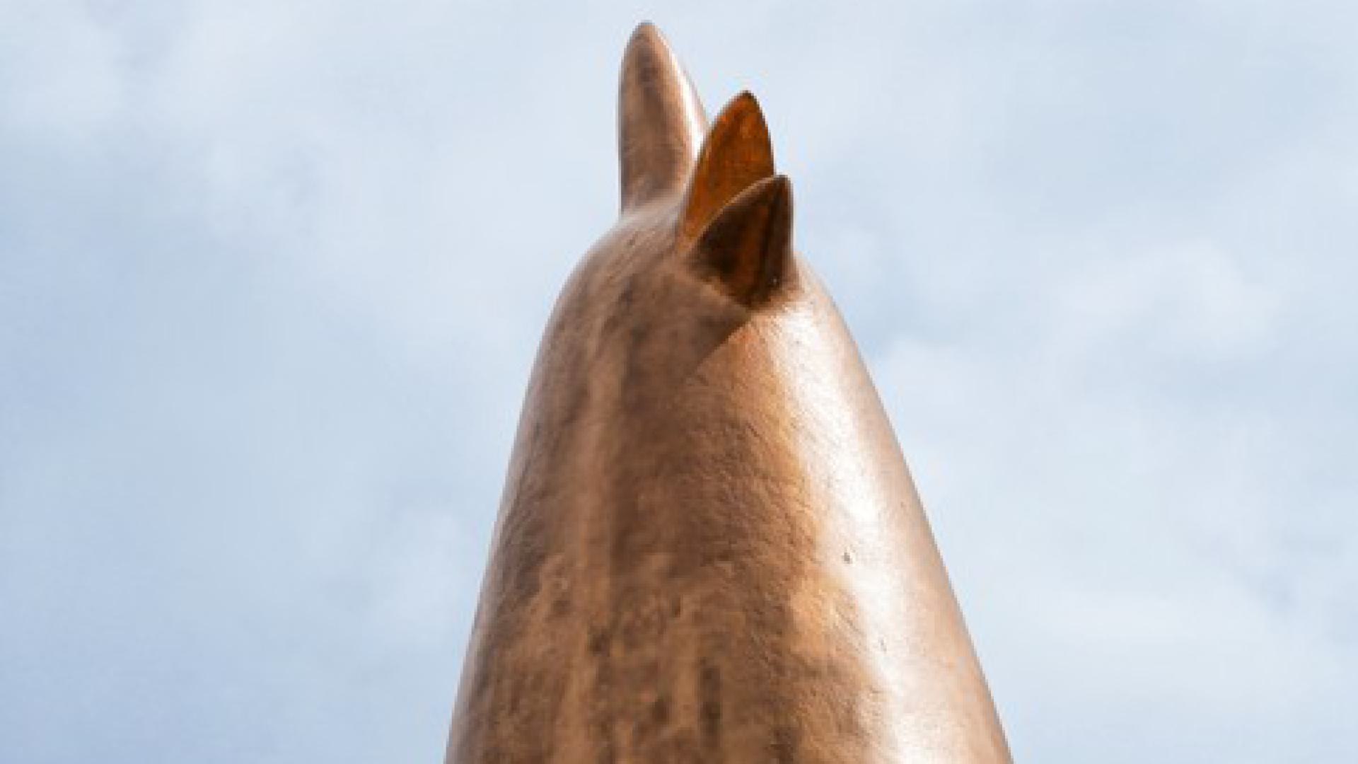 Detail Spreekkamer Van De Toekomst