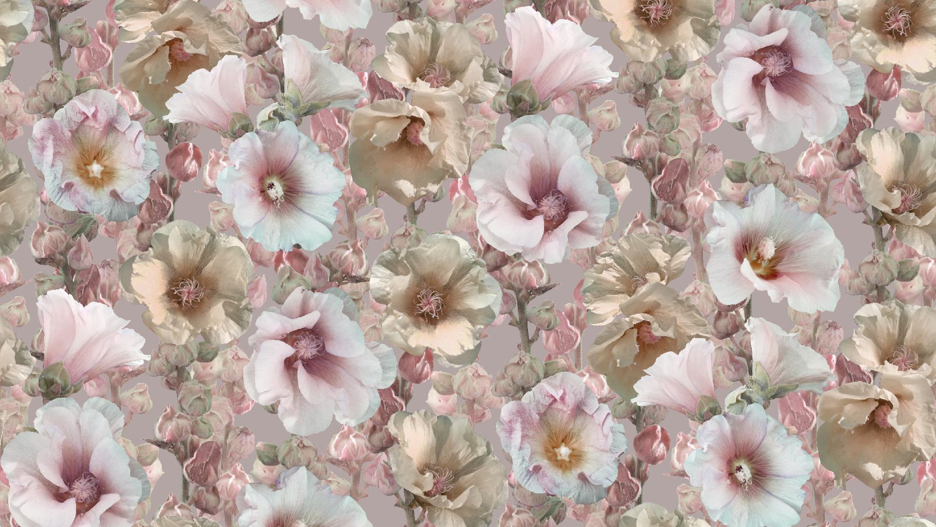 hollyhocks