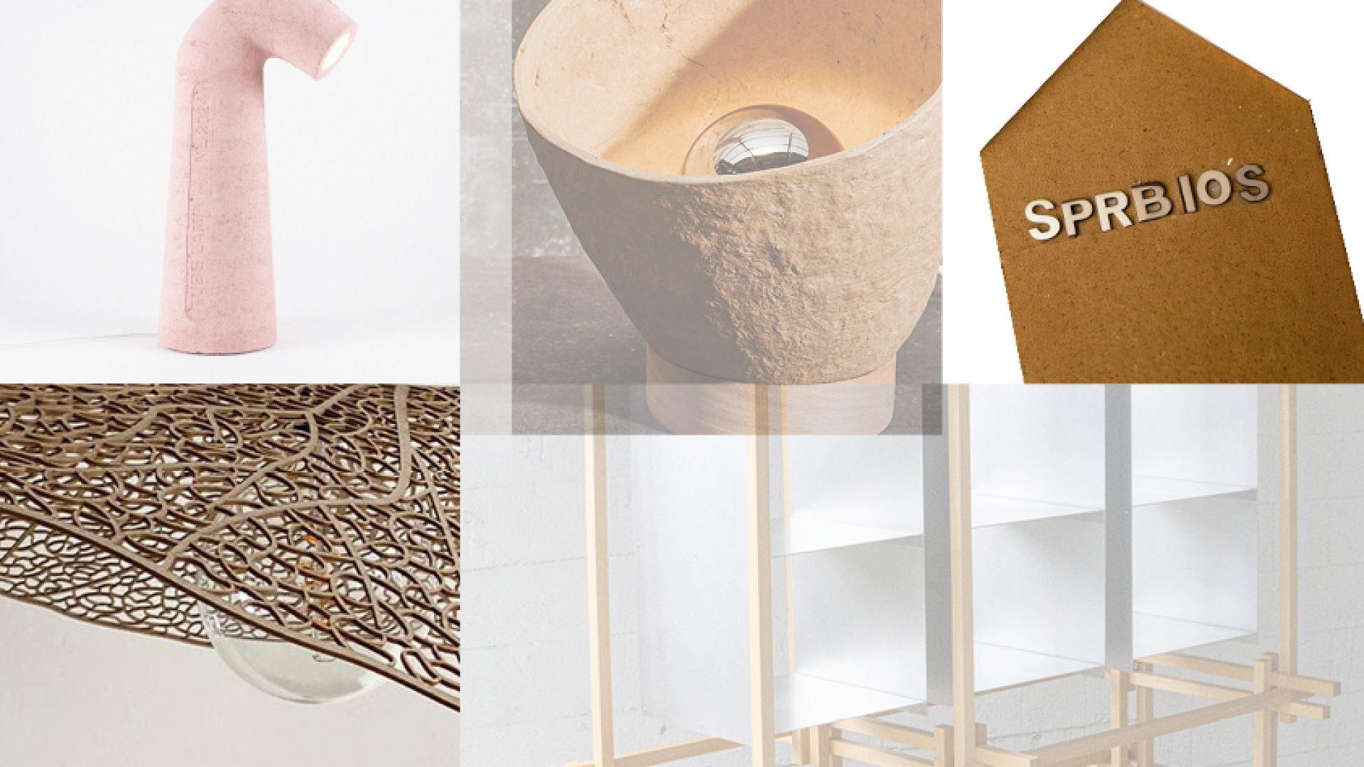 Scale-up,  SUPERBio'S  Shapes the Future