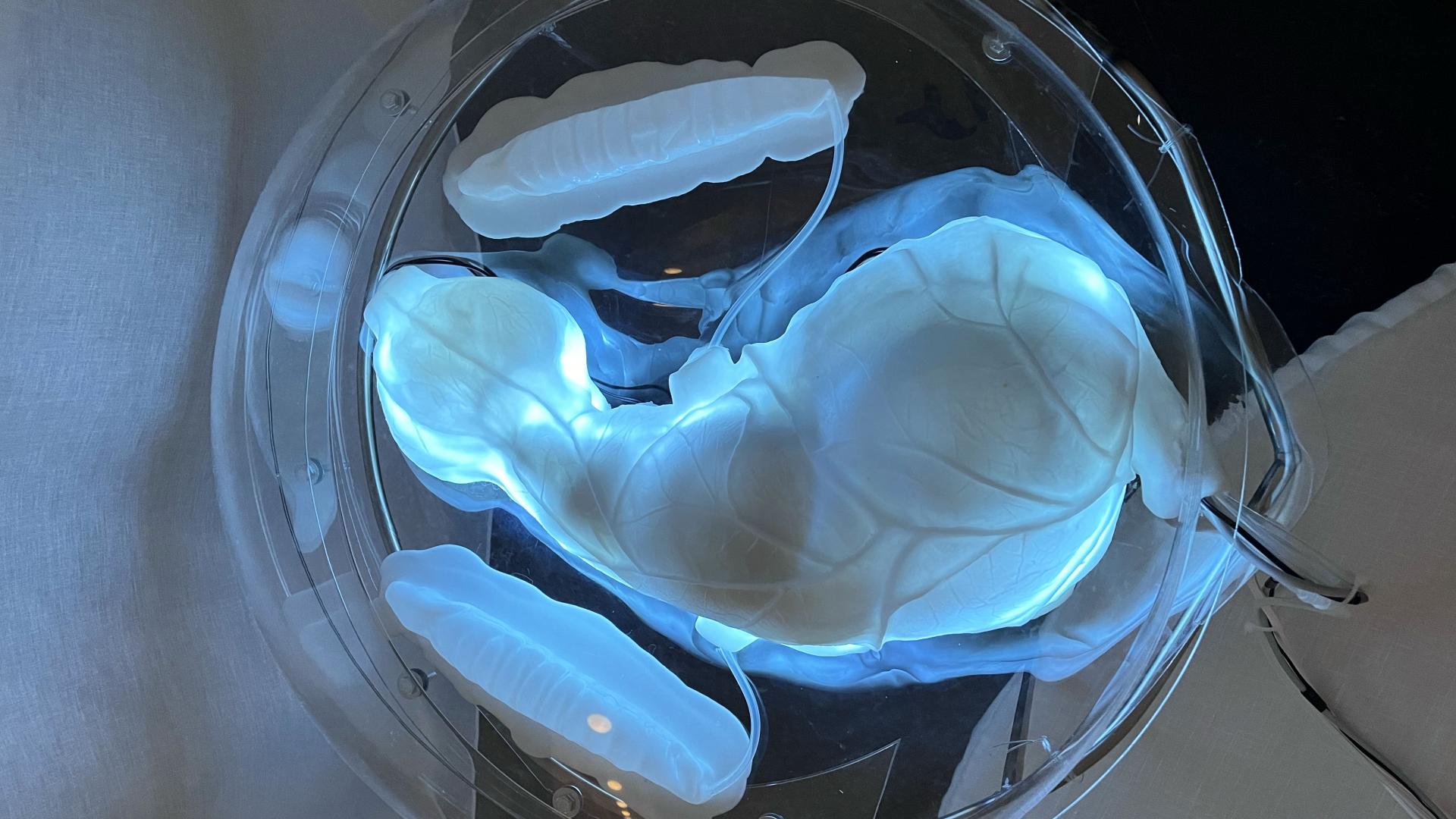 Sculpture in standby