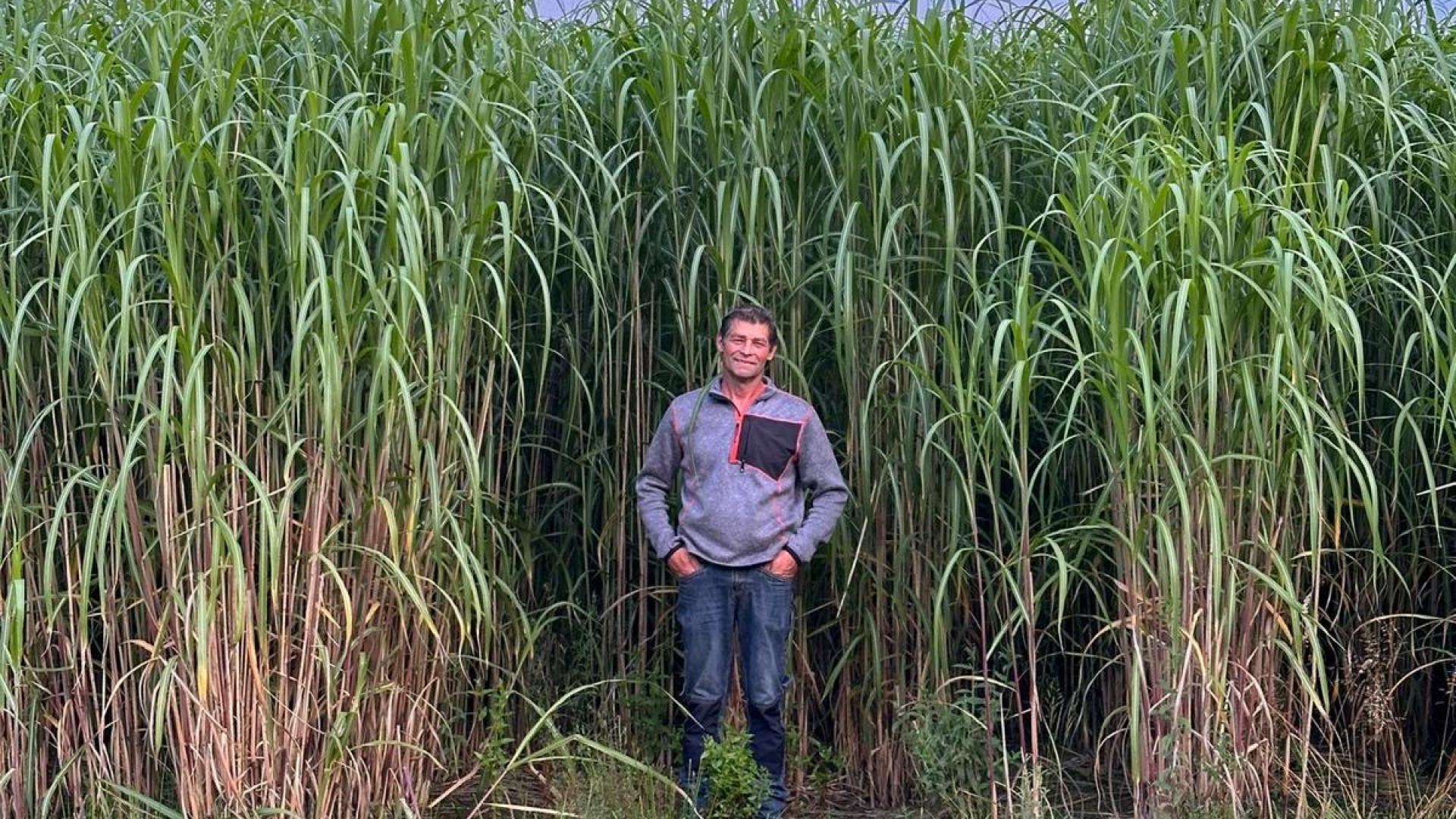 Boer Theo van Beerendonk voor miscanthus veld