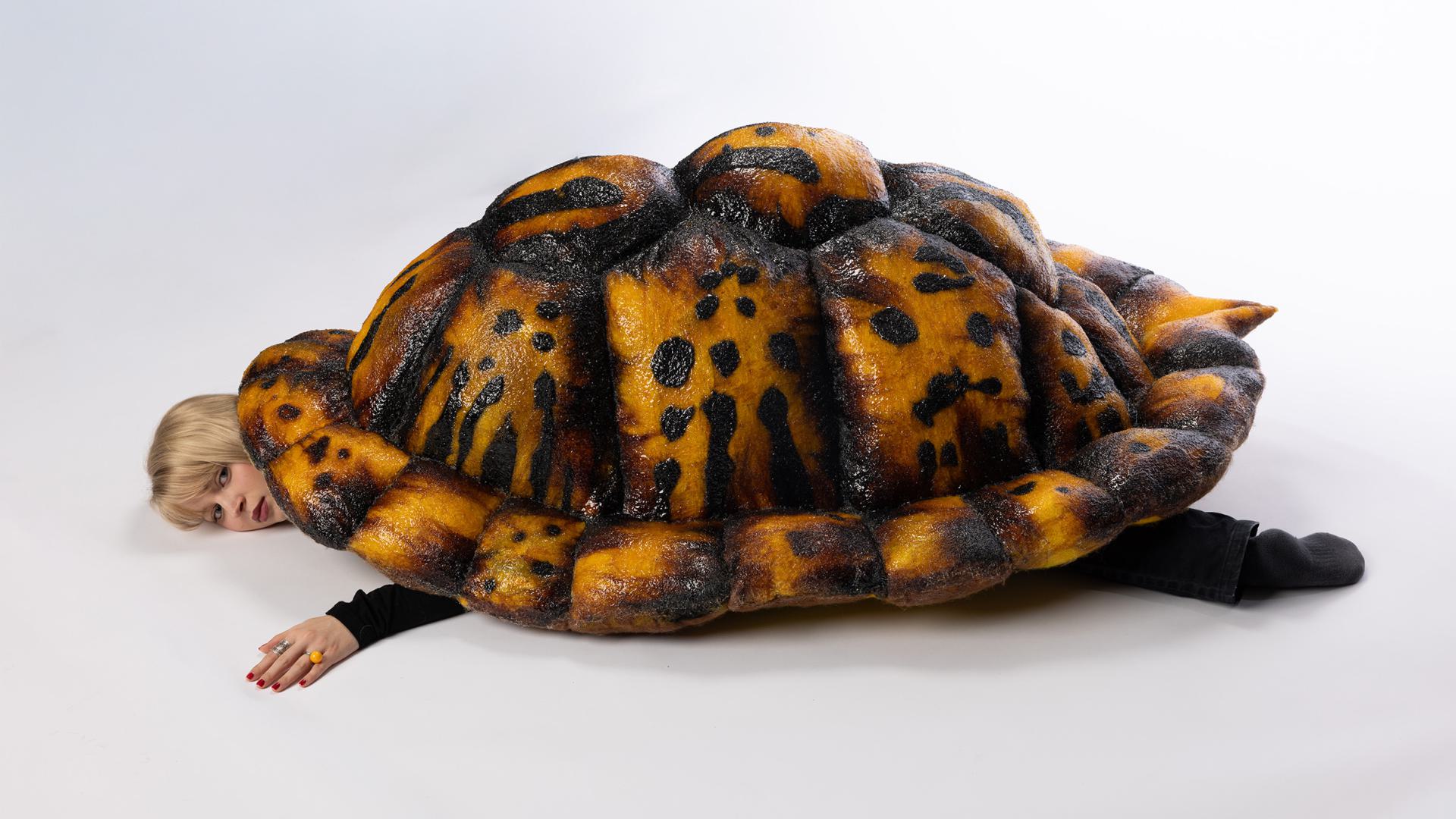 Turtle Shell (2026)