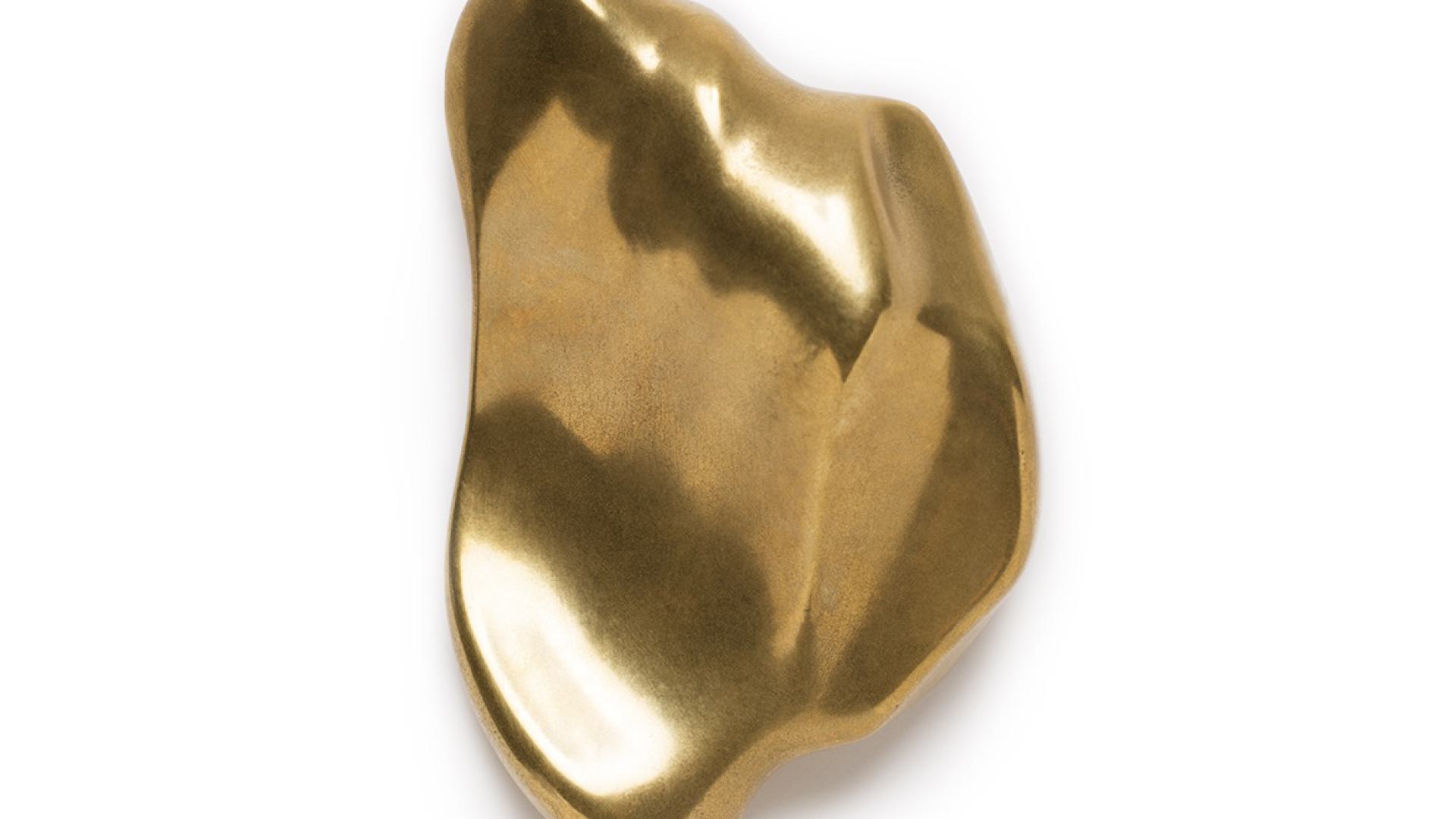 Wing, voelvorm in bronze