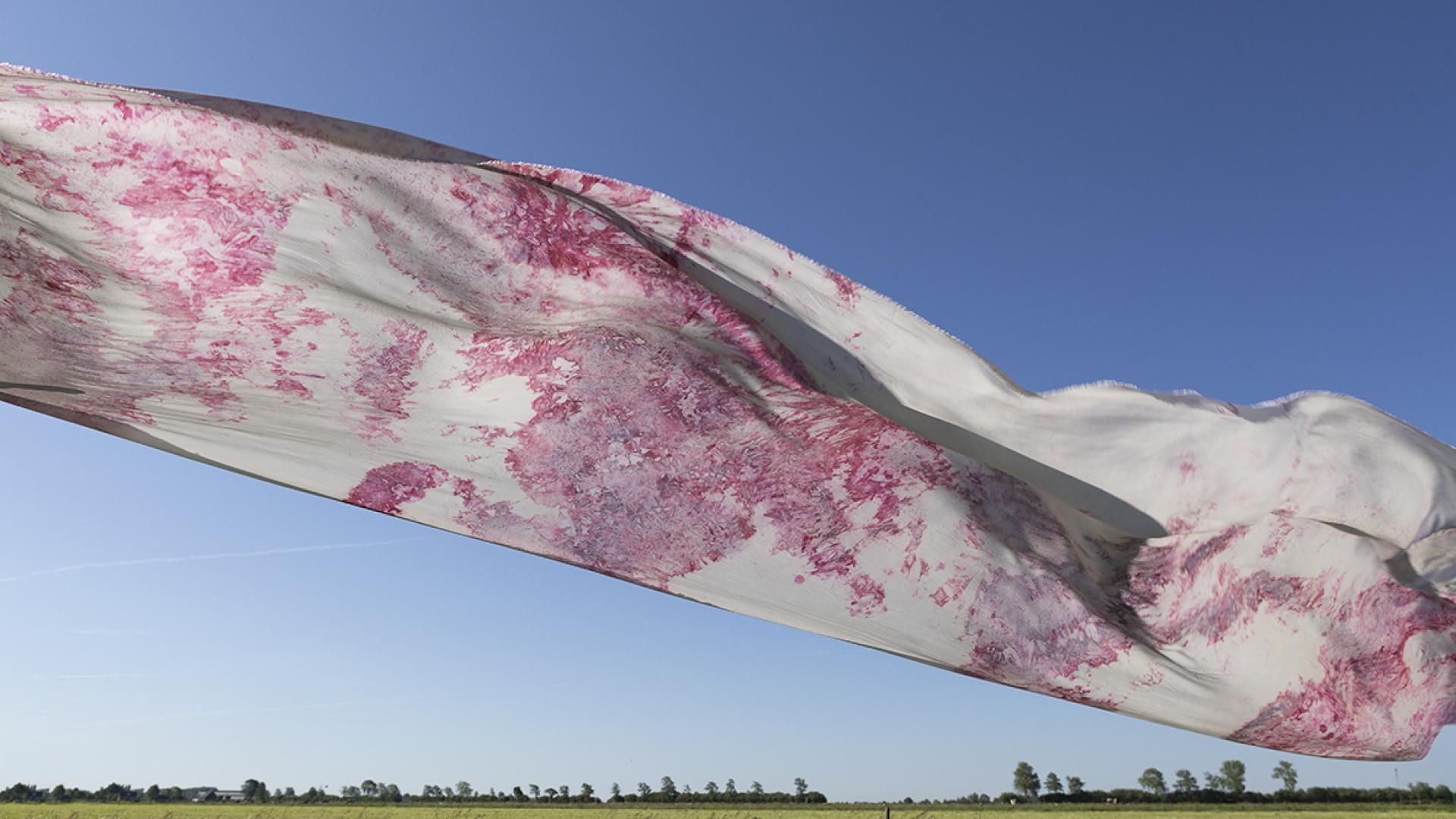 Fit-to-farm Models for Biomanufacturing