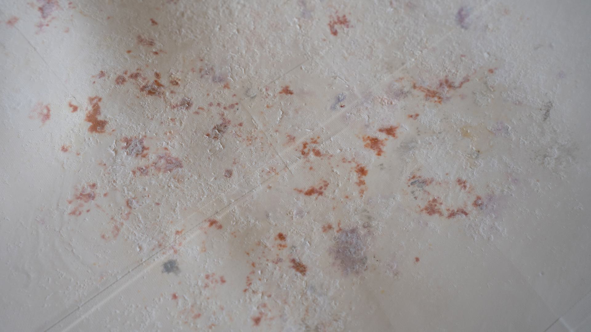 Traces of microbial growth and decay