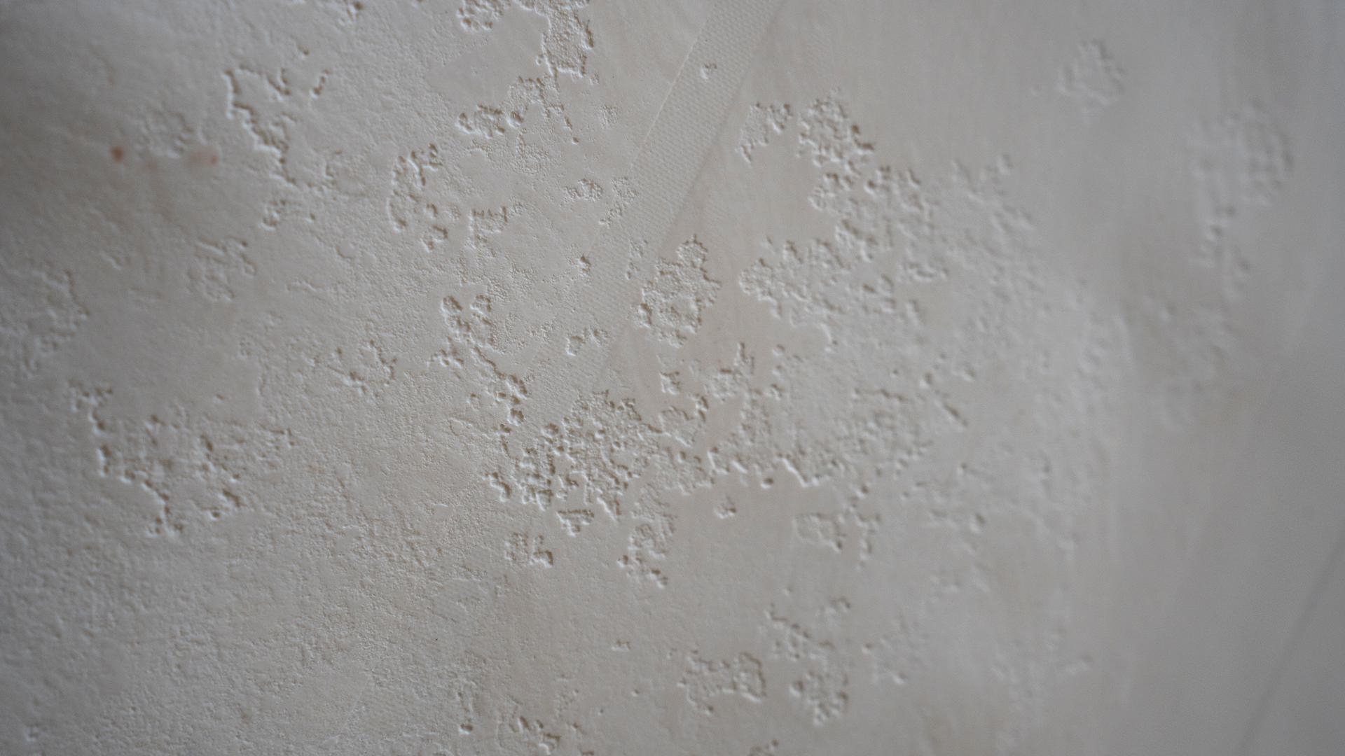 Traces of microbial growth and decay