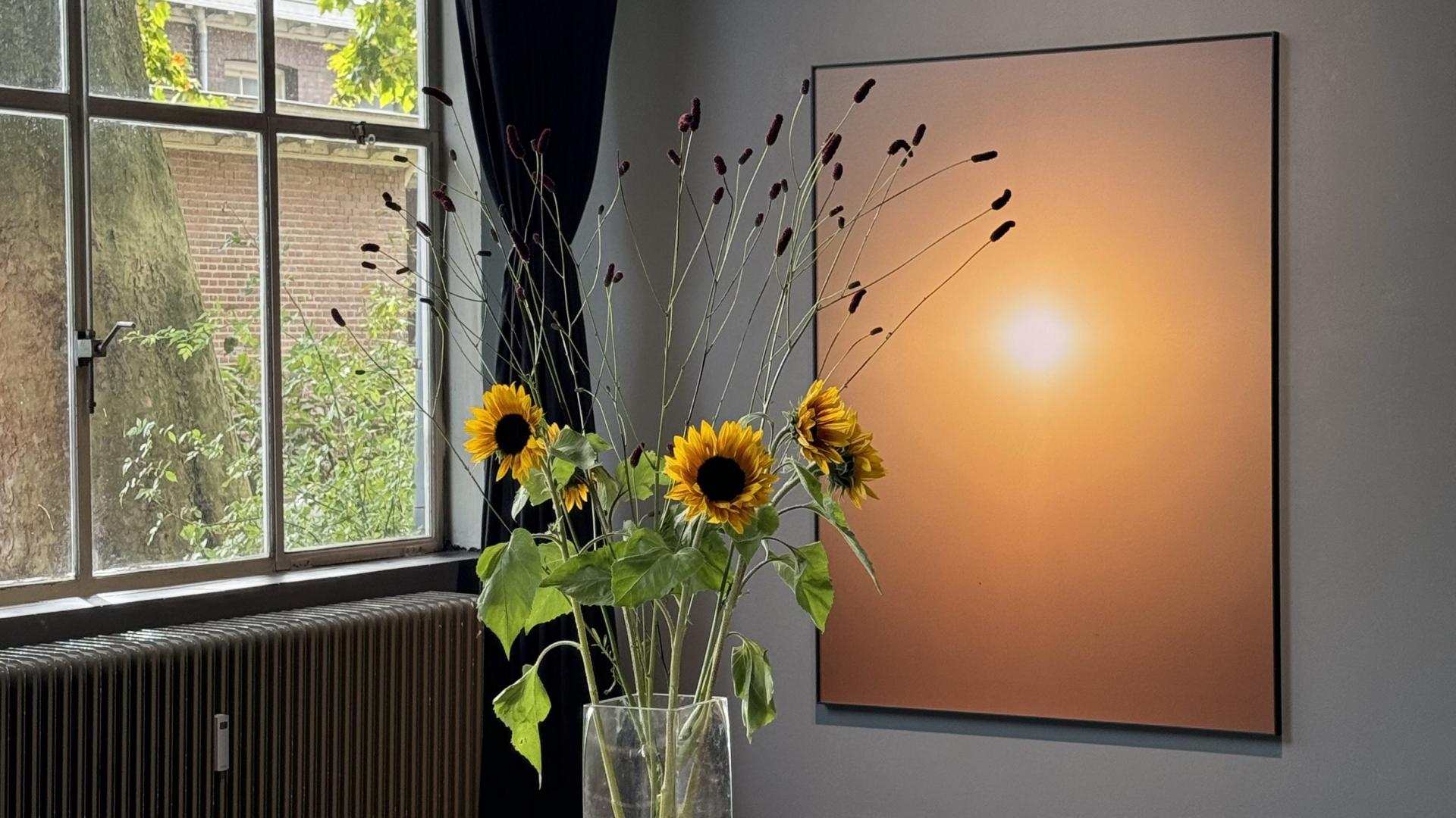 Zon
