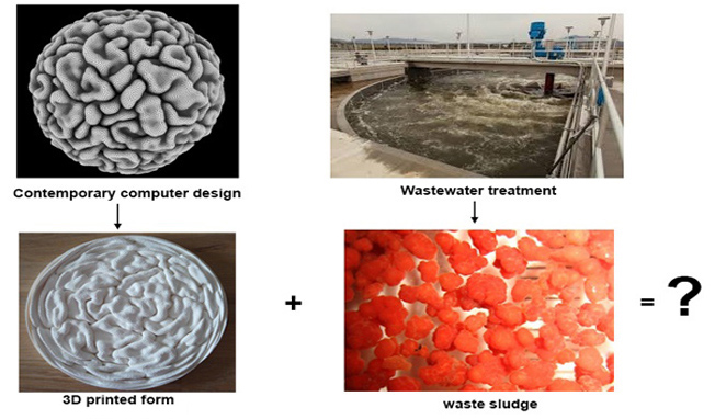 From waste to bio-product