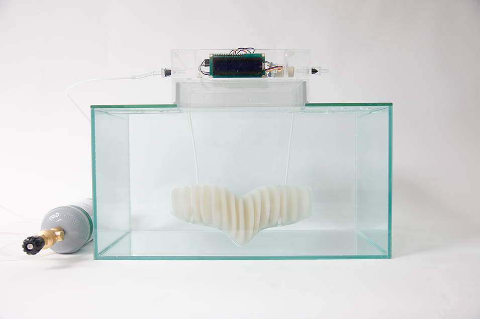 Working prototype of the gill