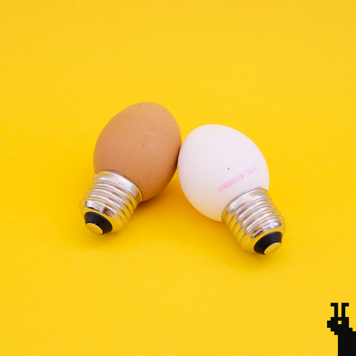 Eilamp / Egglamp