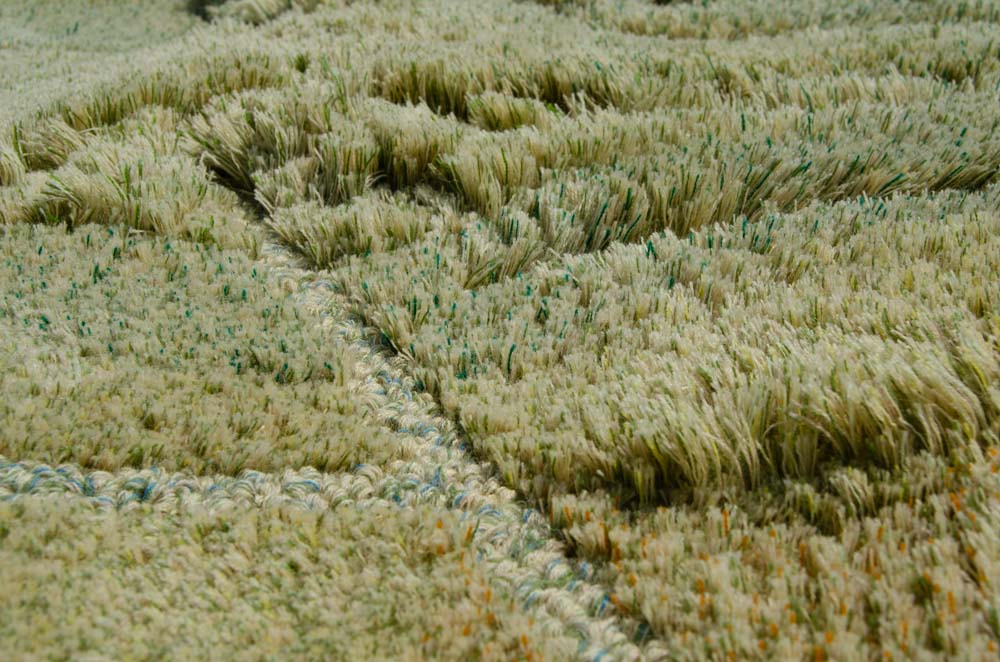 Detail of carpet