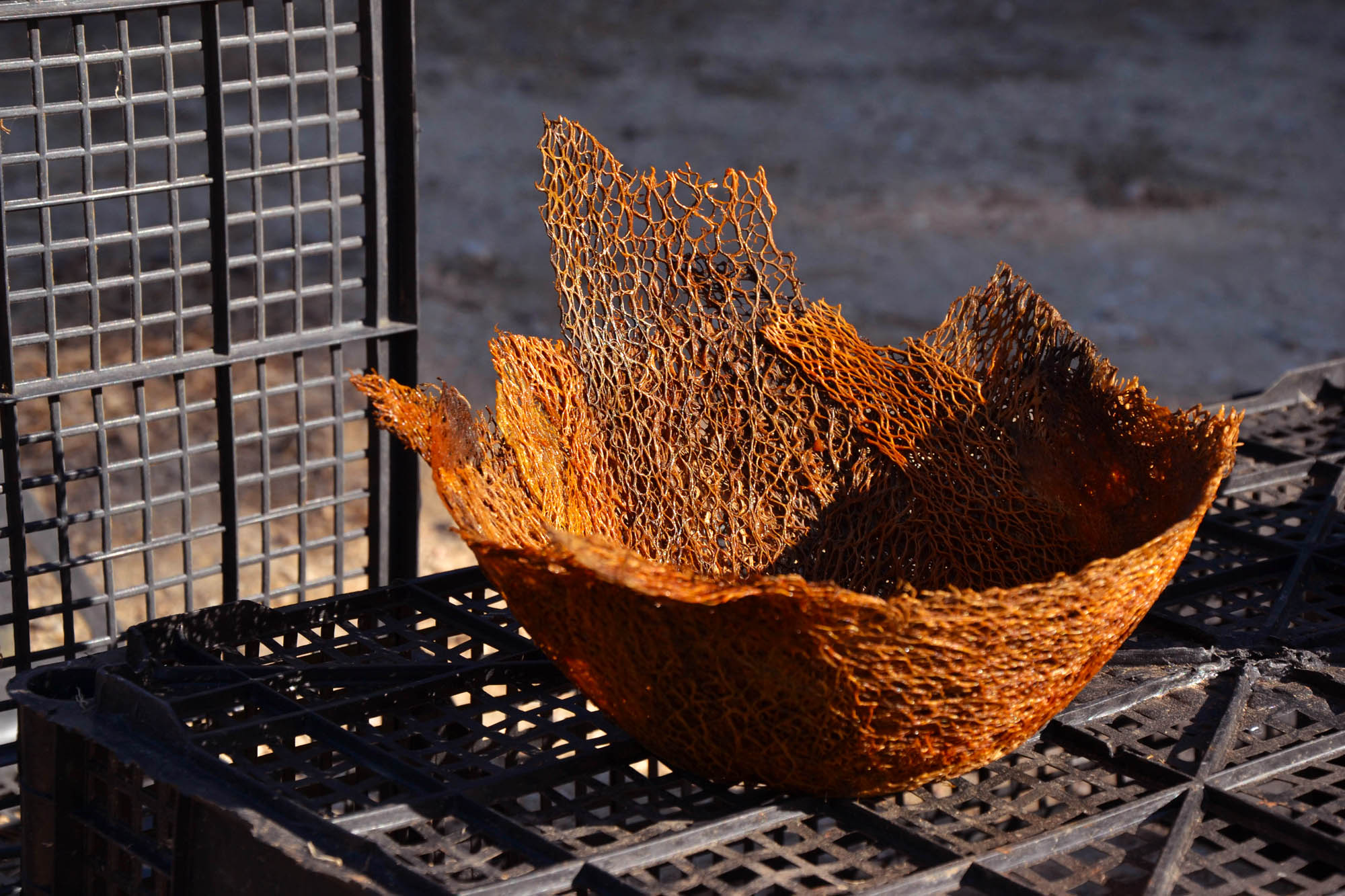 Prickly Pear fibre in the shape of a bowl.