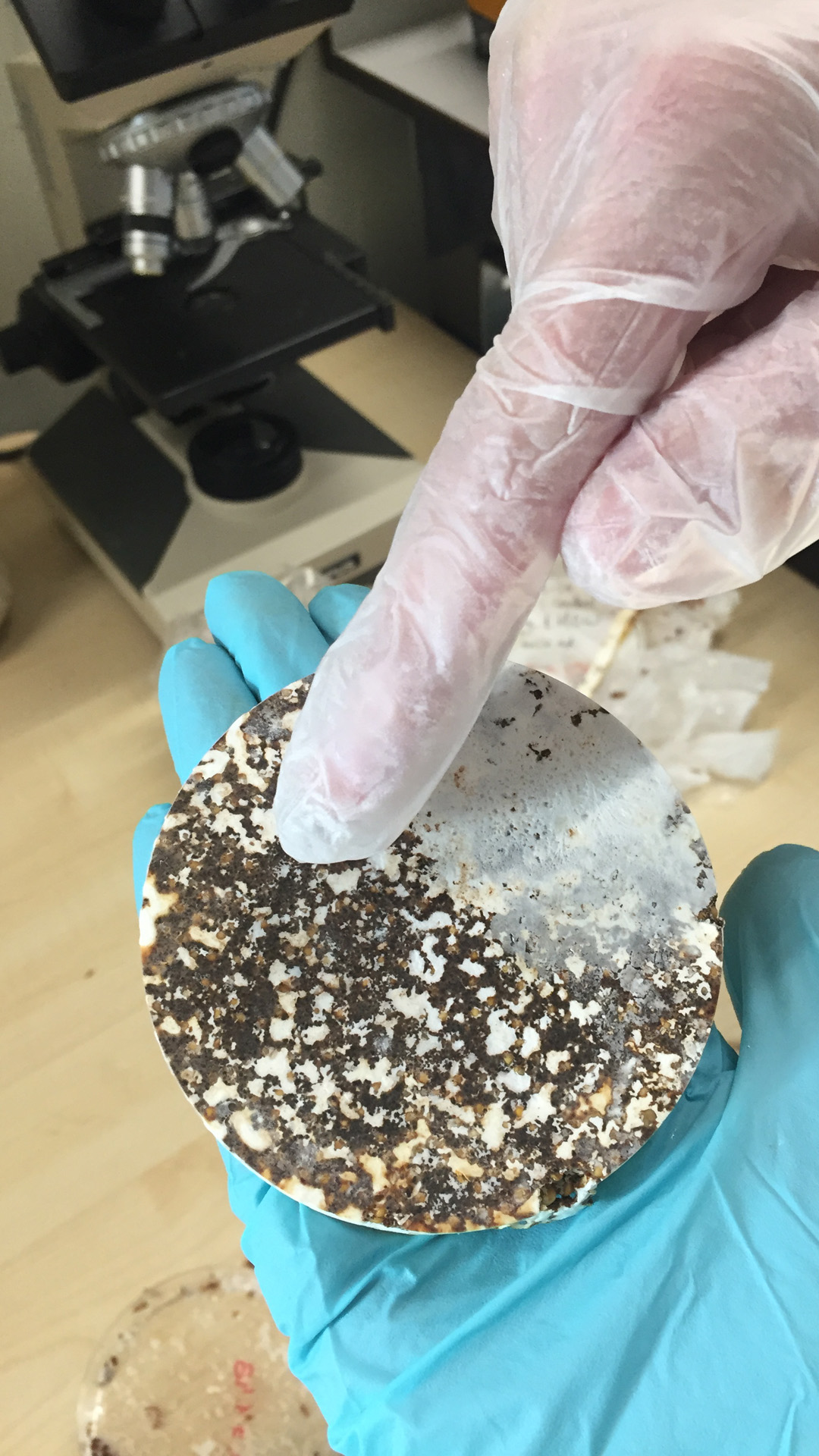 HOW material sample